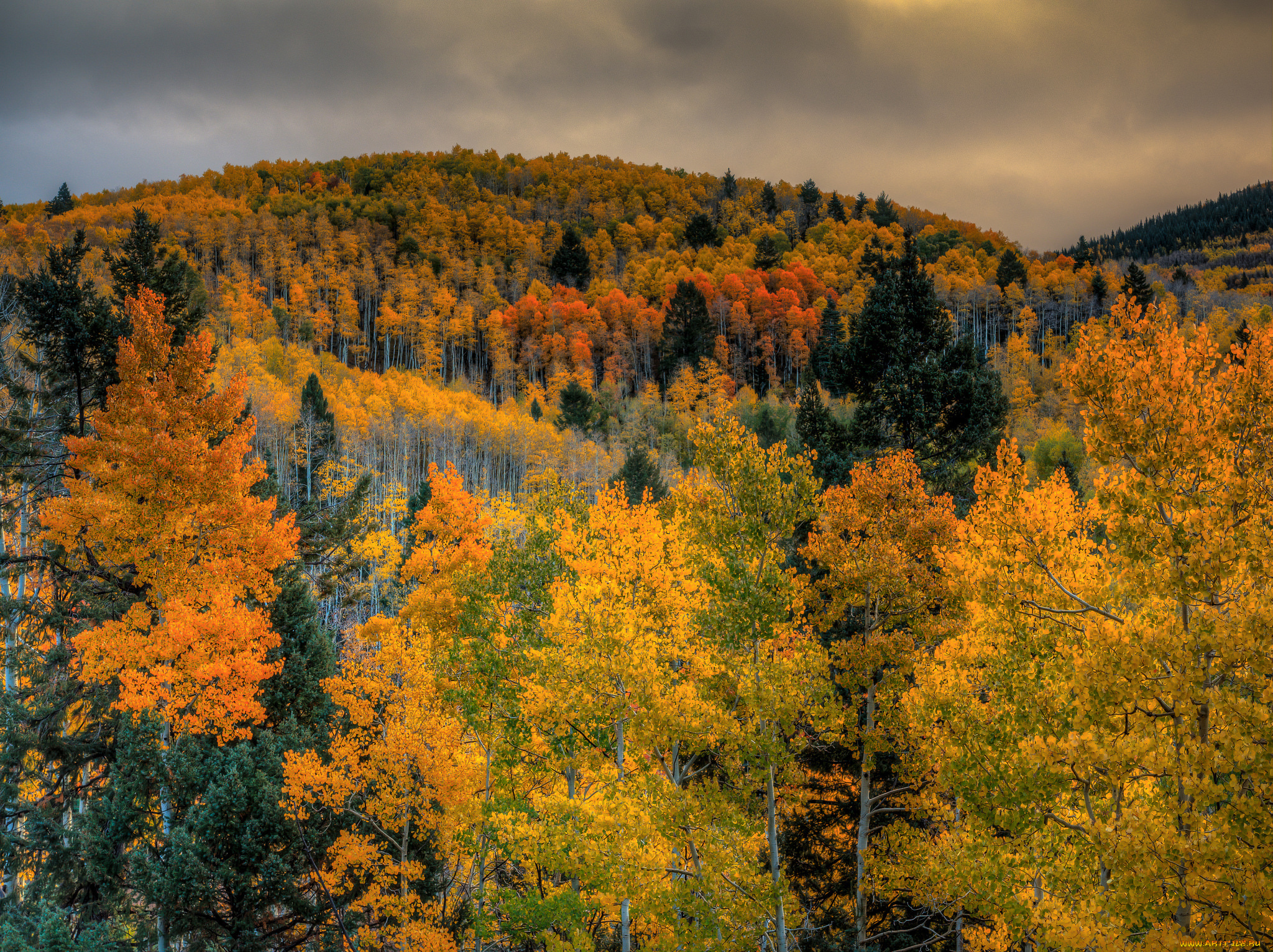 природа, лес, тучи, небо, горы, деревья, осень