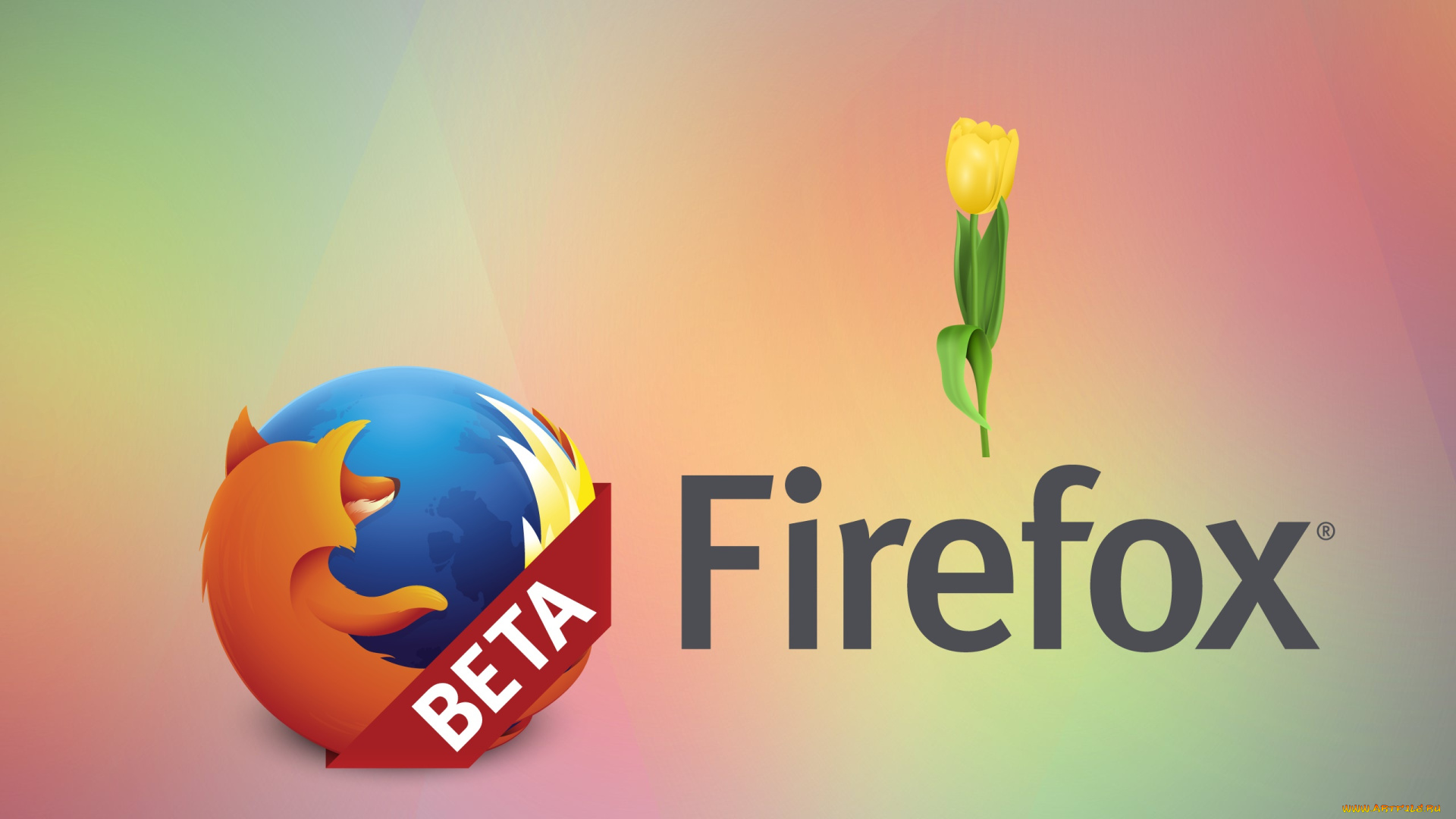 компьютеры, mozilla, firefox, фон, цветы, лепестки, логотип, тюльпаны