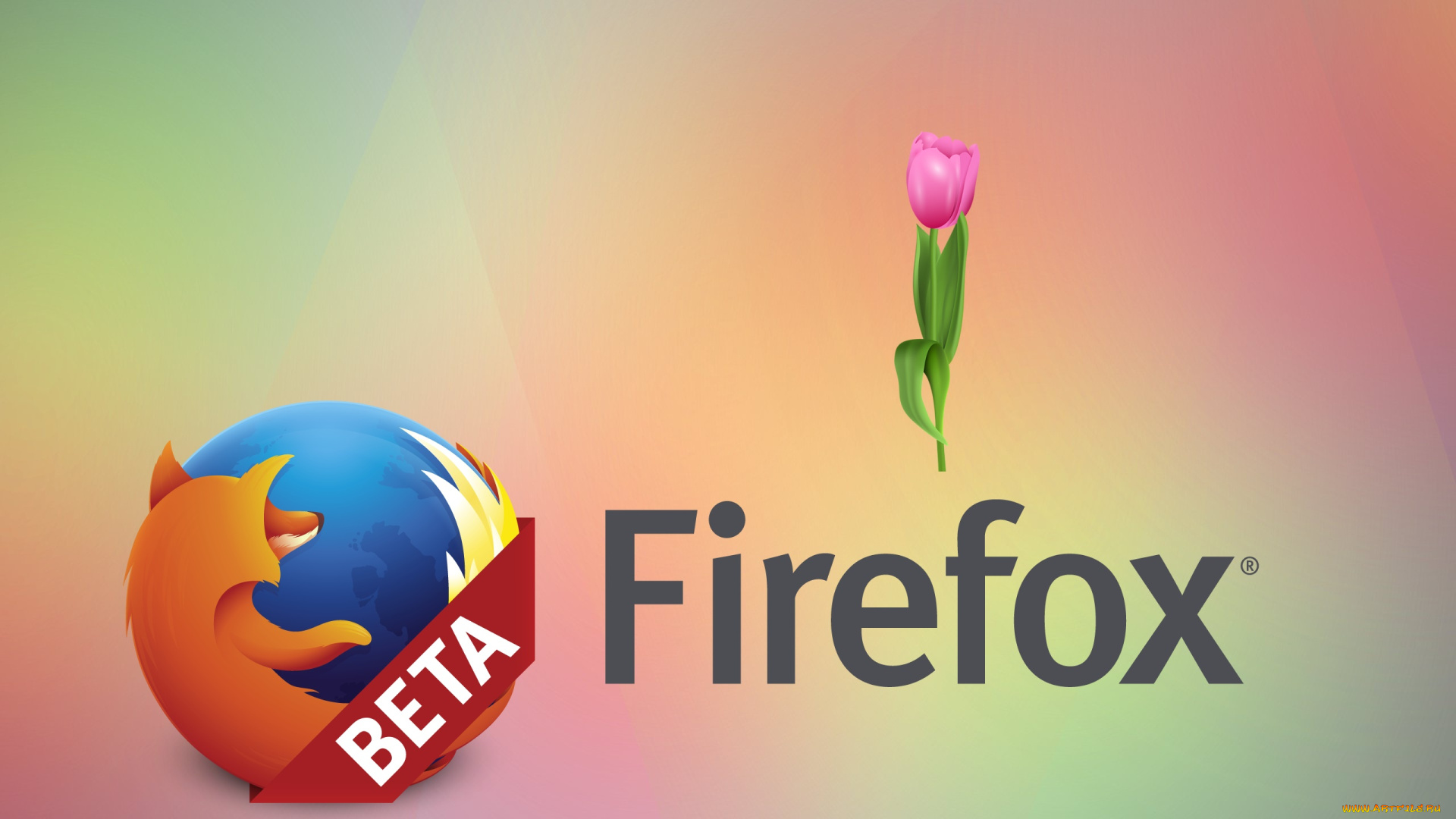 компьютеры, mozilla, firefox, фон, цветы, тюльпаны, логотип, лепестки