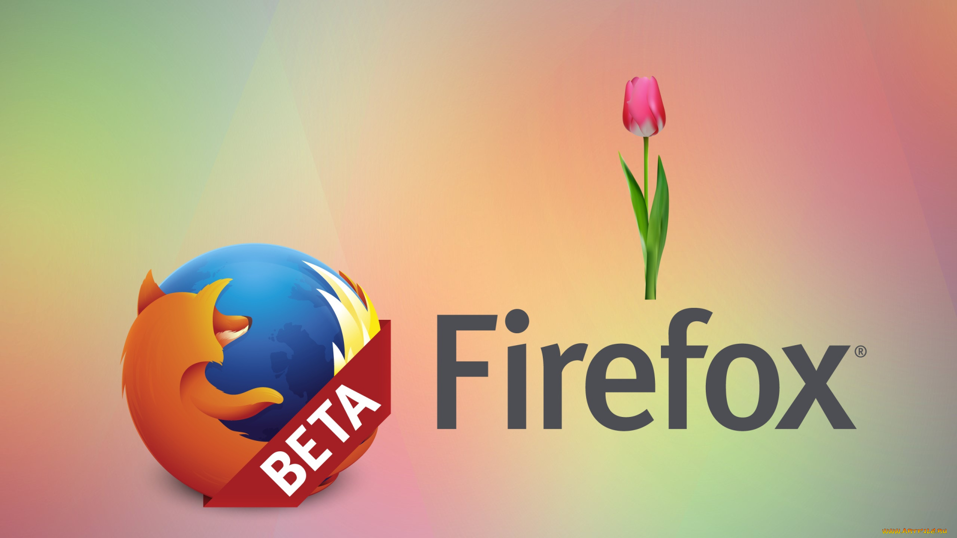 компьютеры, mozilla, firefox, лепестки, фон, цветы, тюльпаны, логотип