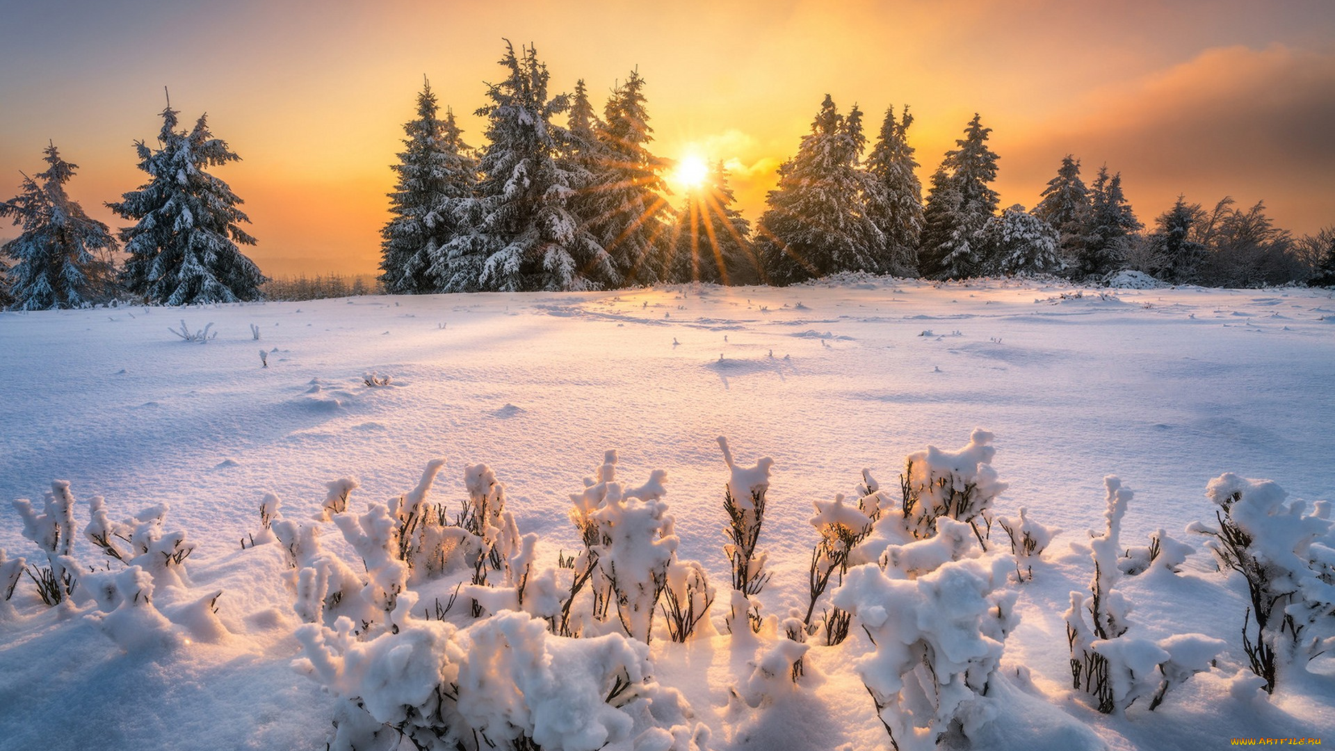 природа, зима, простор