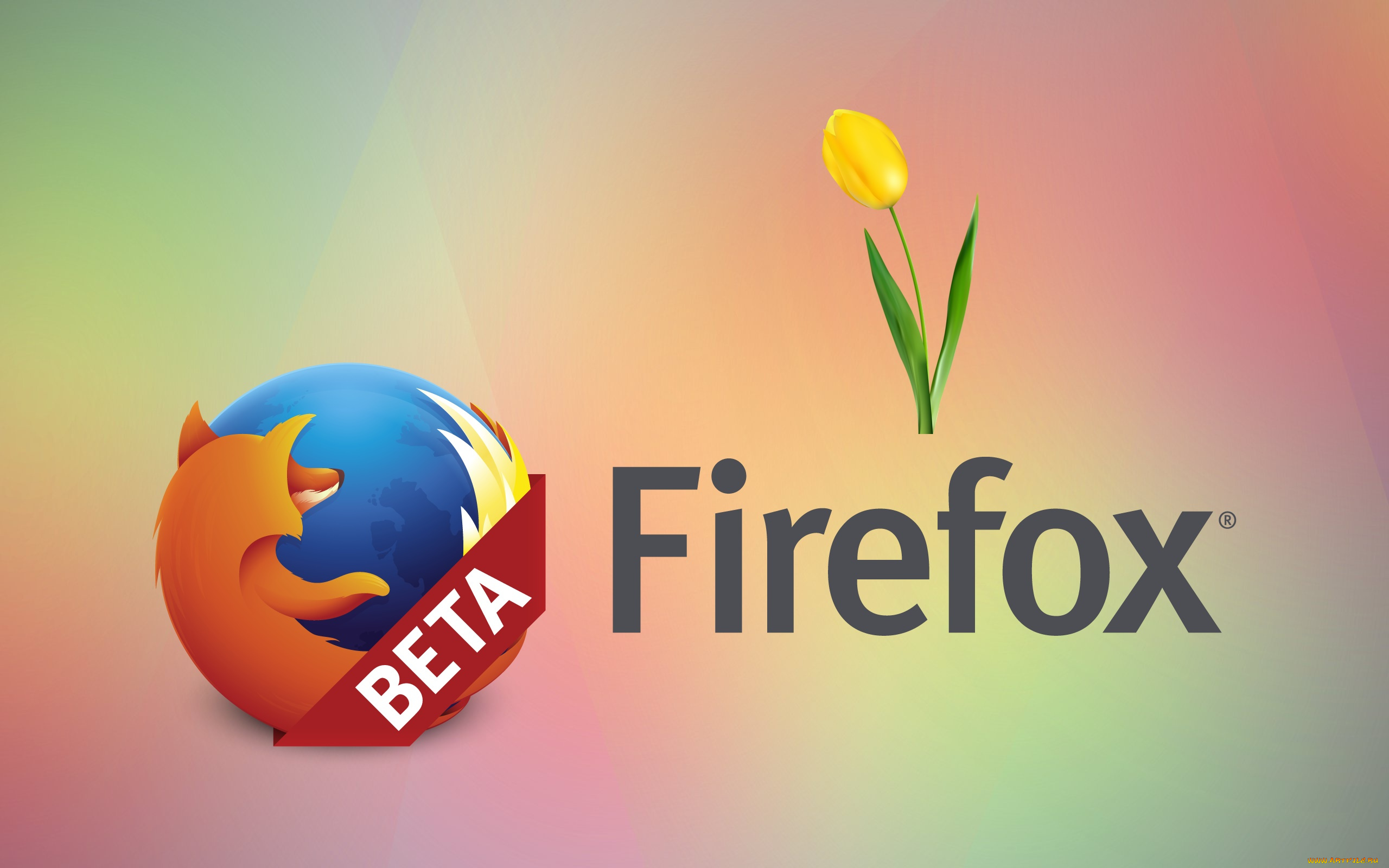 компьютеры, mozilla, firefox, цветы, фон, лепестки, тюльпаны, логотип