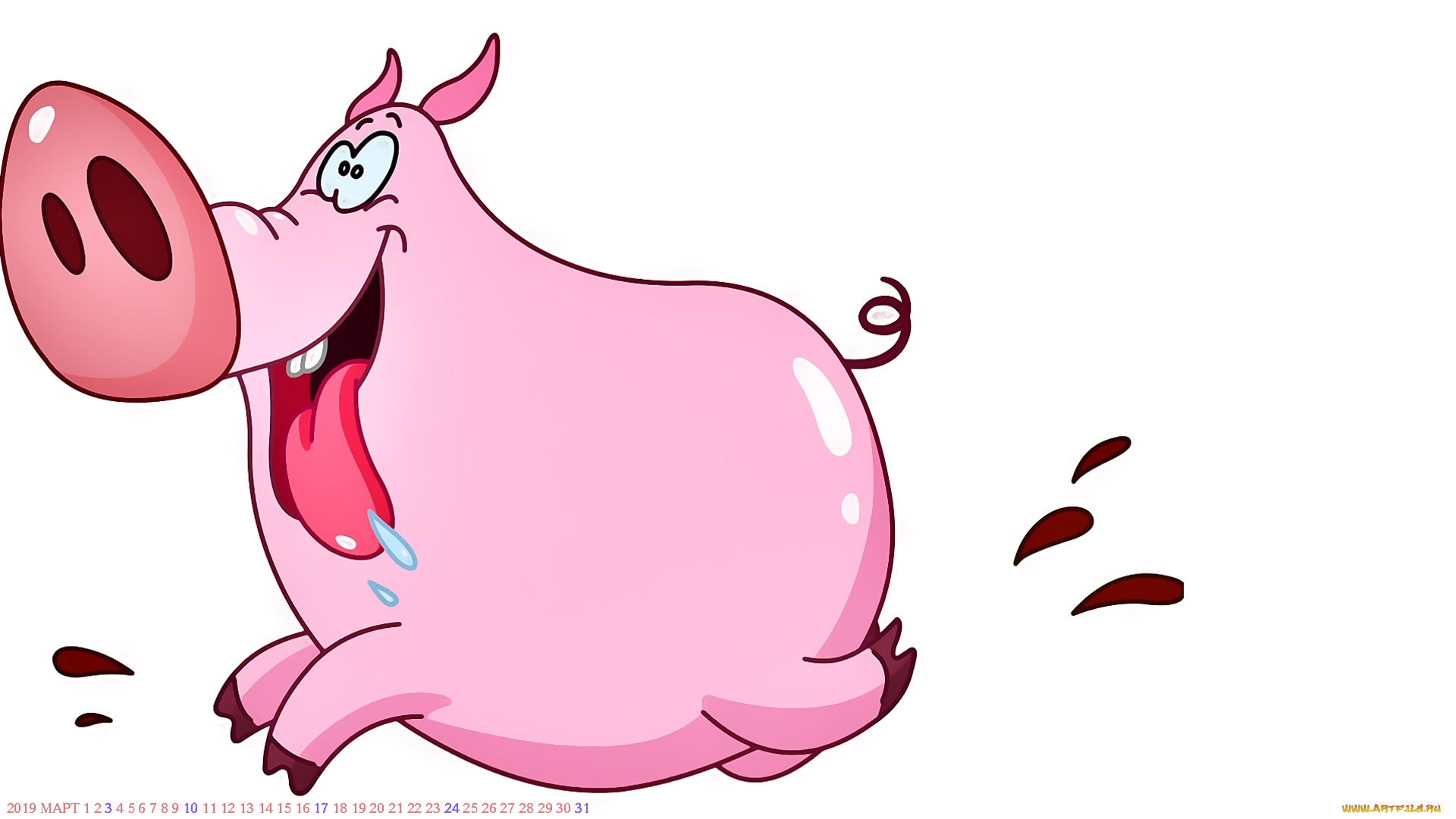 календари, рисованные, , векторная, графика, свинья, поросенок