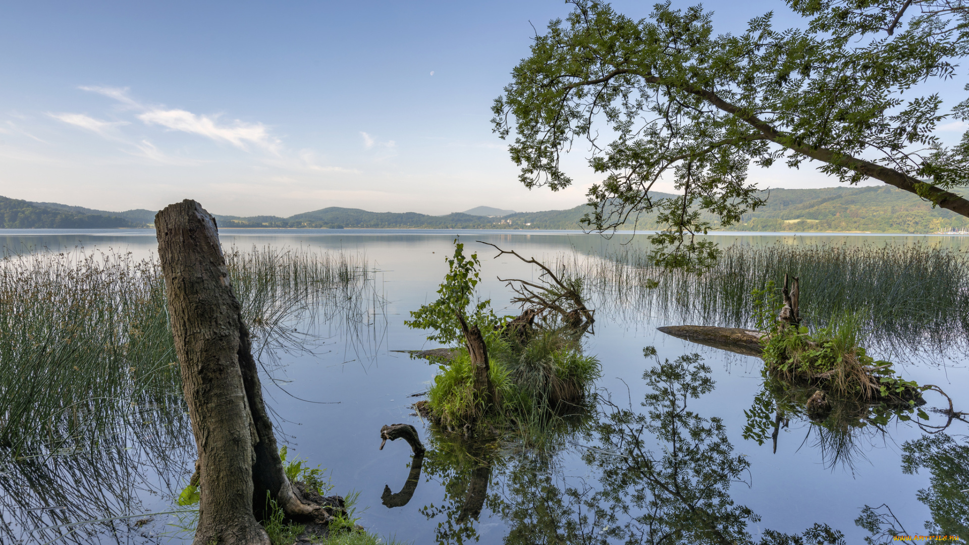 природа, реки, озера, простор