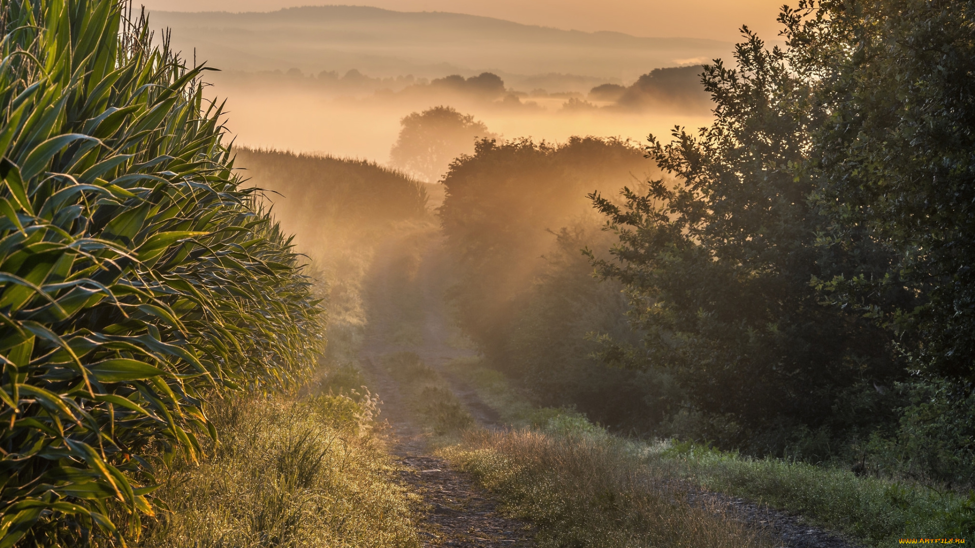 природа, восходы, закаты, простор