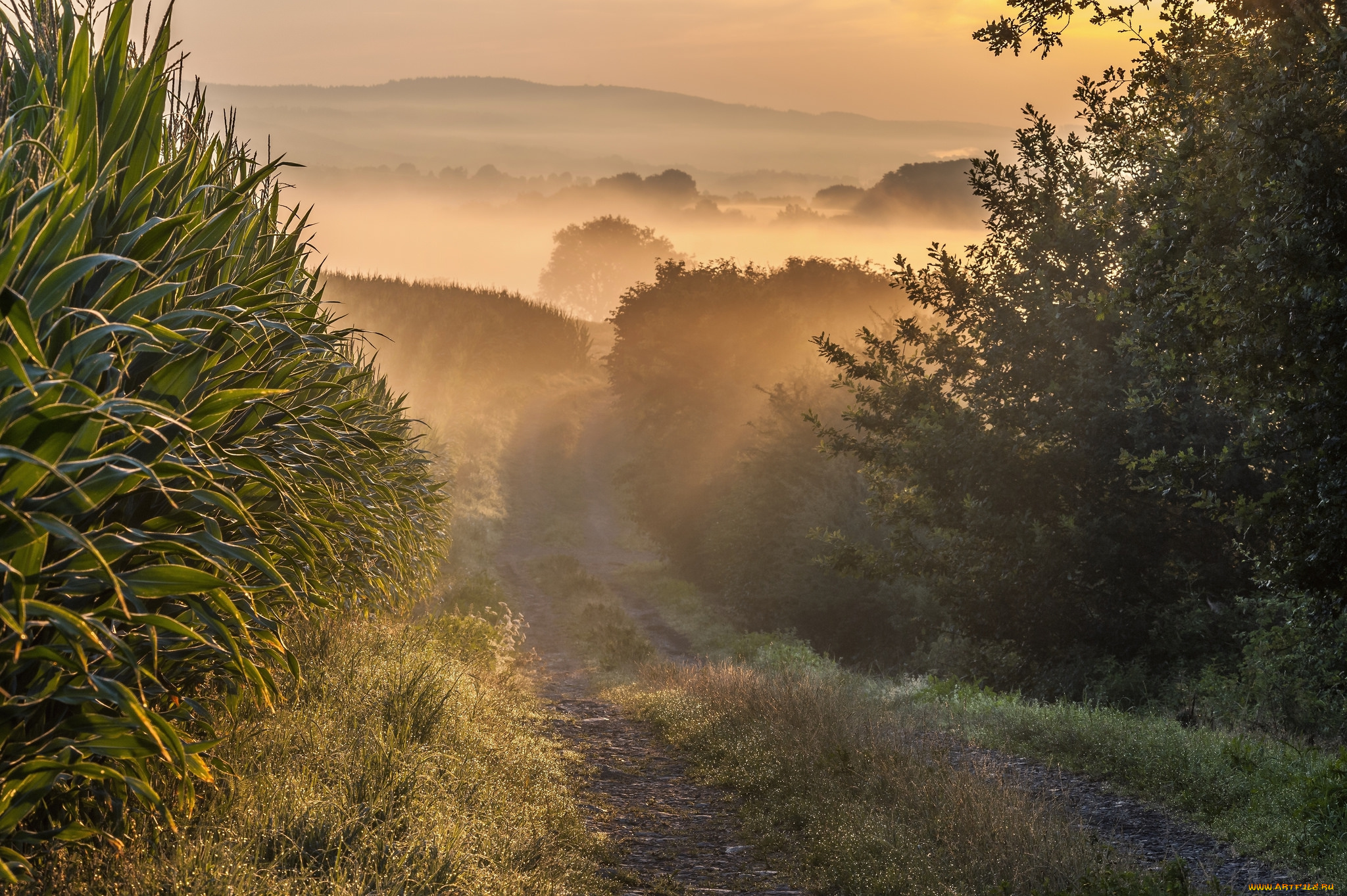 природа, восходы, закаты, простор