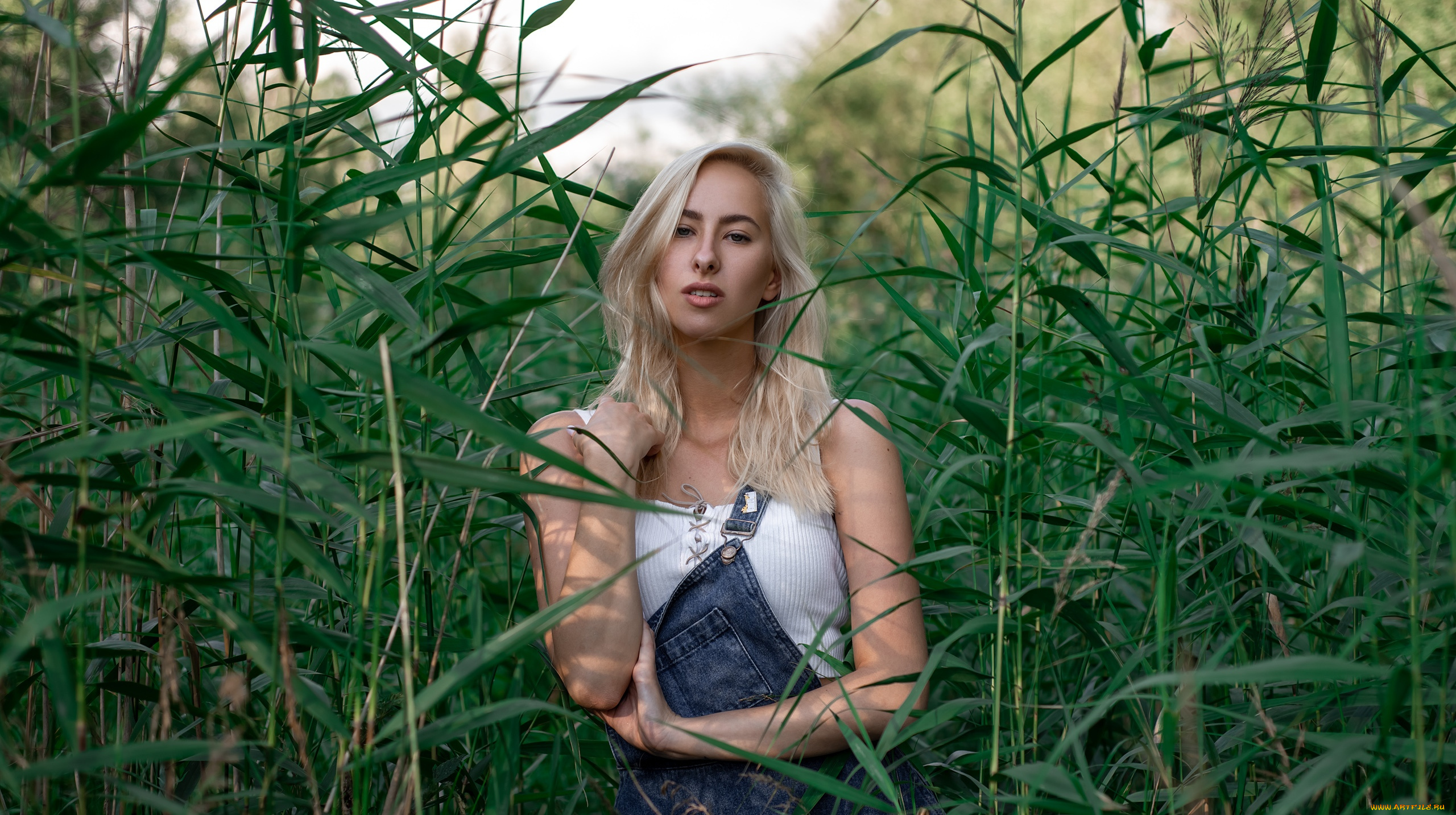 девушка, девушки, -unsort, , блондинки, , светловолосые, модель