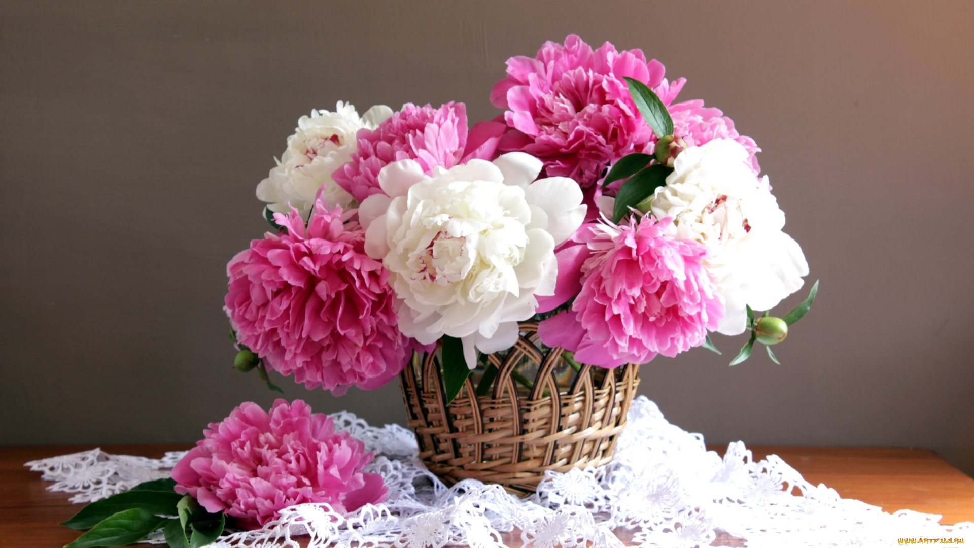 цветы, пионы, букет