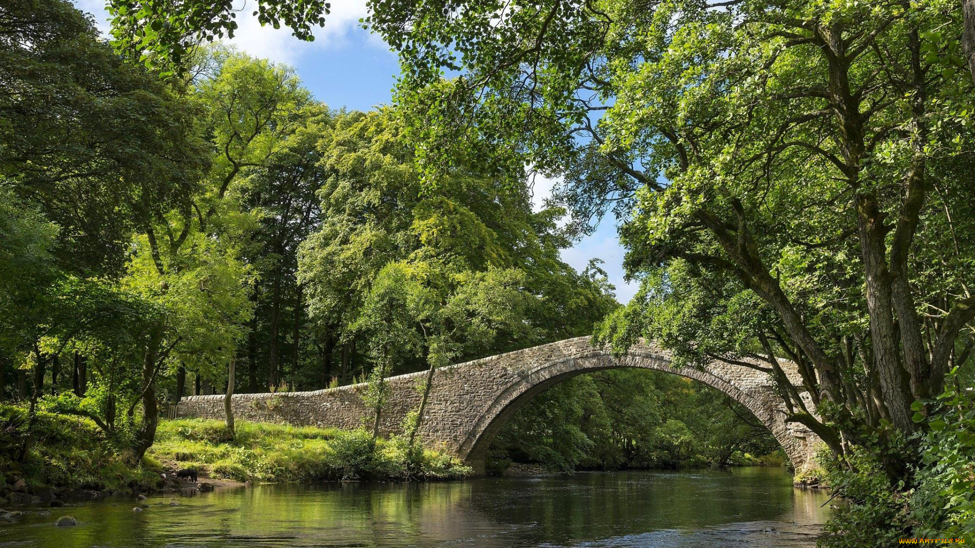 города, -, мосты, мост