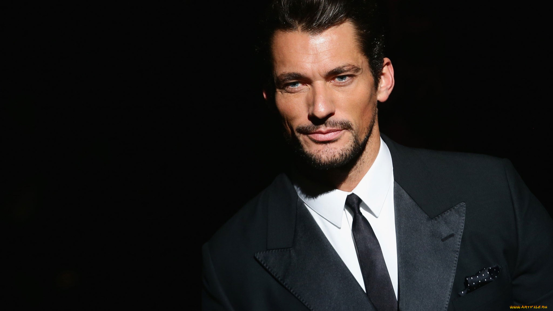 мужчины, david, gandy, галстук, рубашка