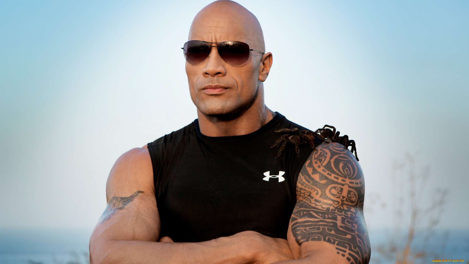 мужчины, dwayne, johnson, , the, rock, очки, тату, пауки