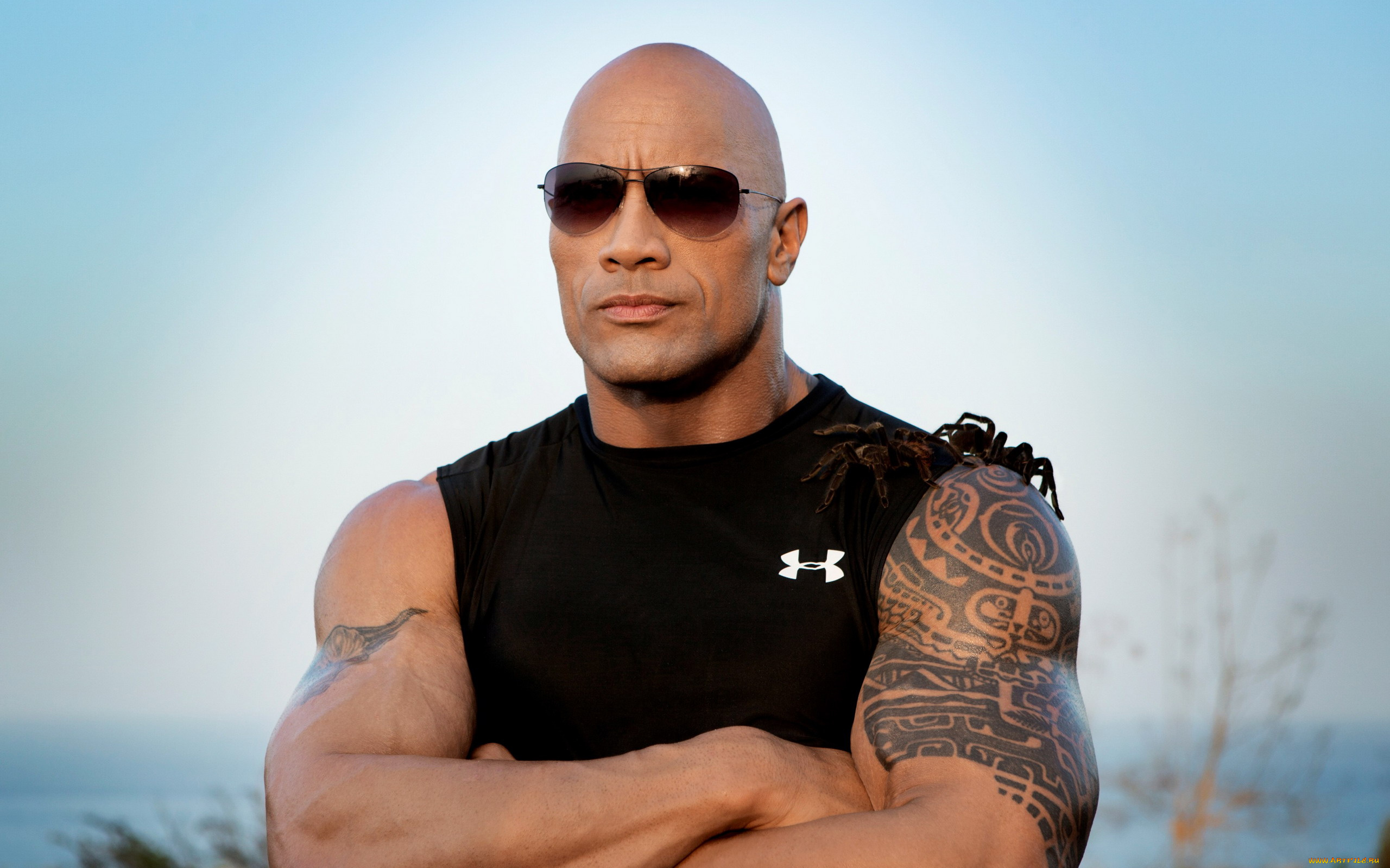 мужчины, dwayne, johnson, , the, rock, очки, тату, пауки