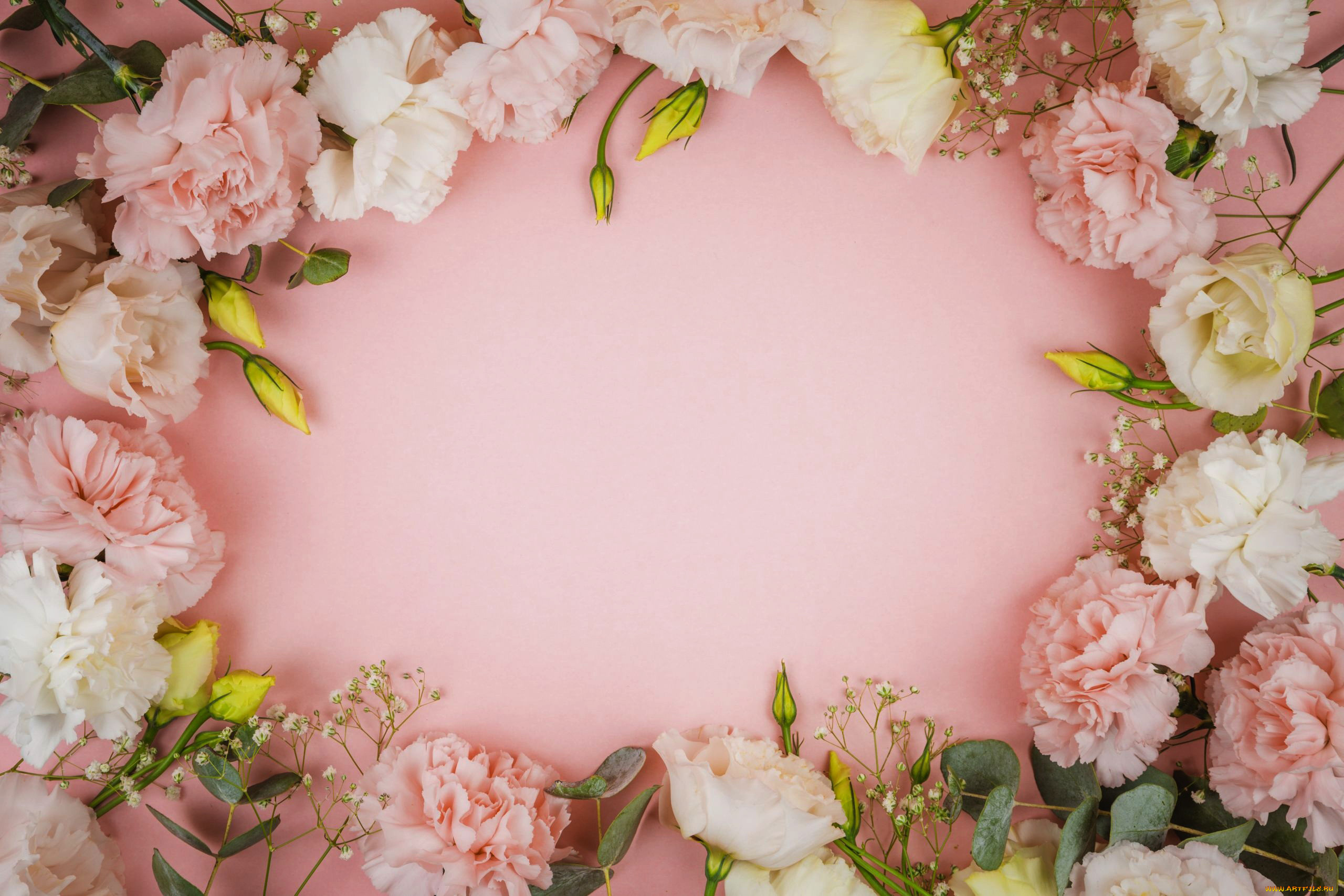 цветы, разные, вместе, гвоздика, эустома