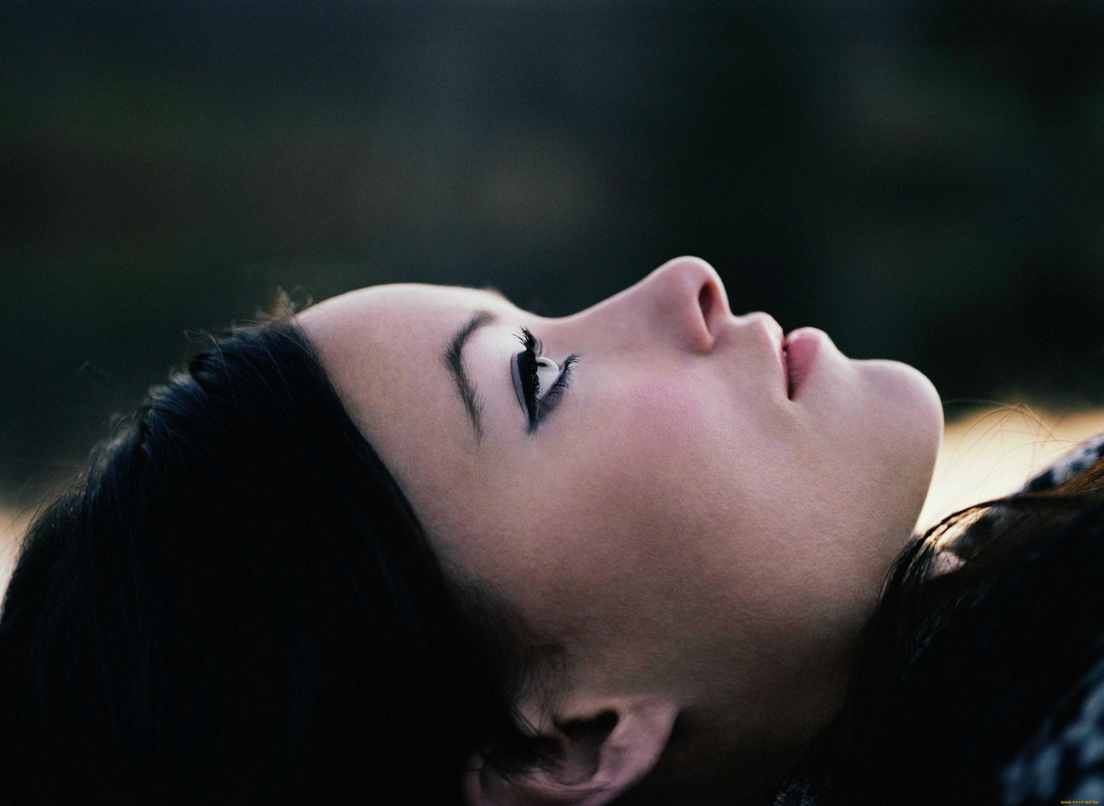 девушки, olivia, wilde, брюнетка, лицо