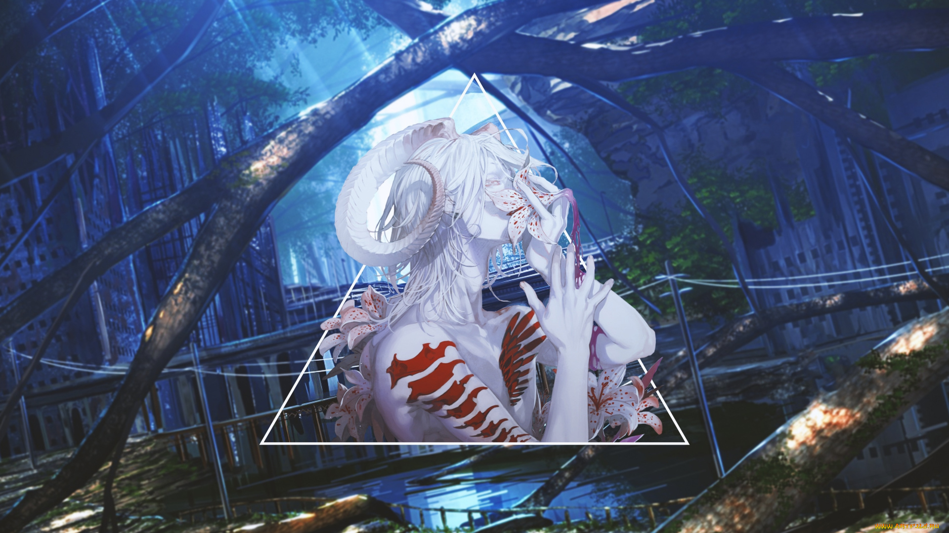 аниме, , gray-man, ди, грей-мен