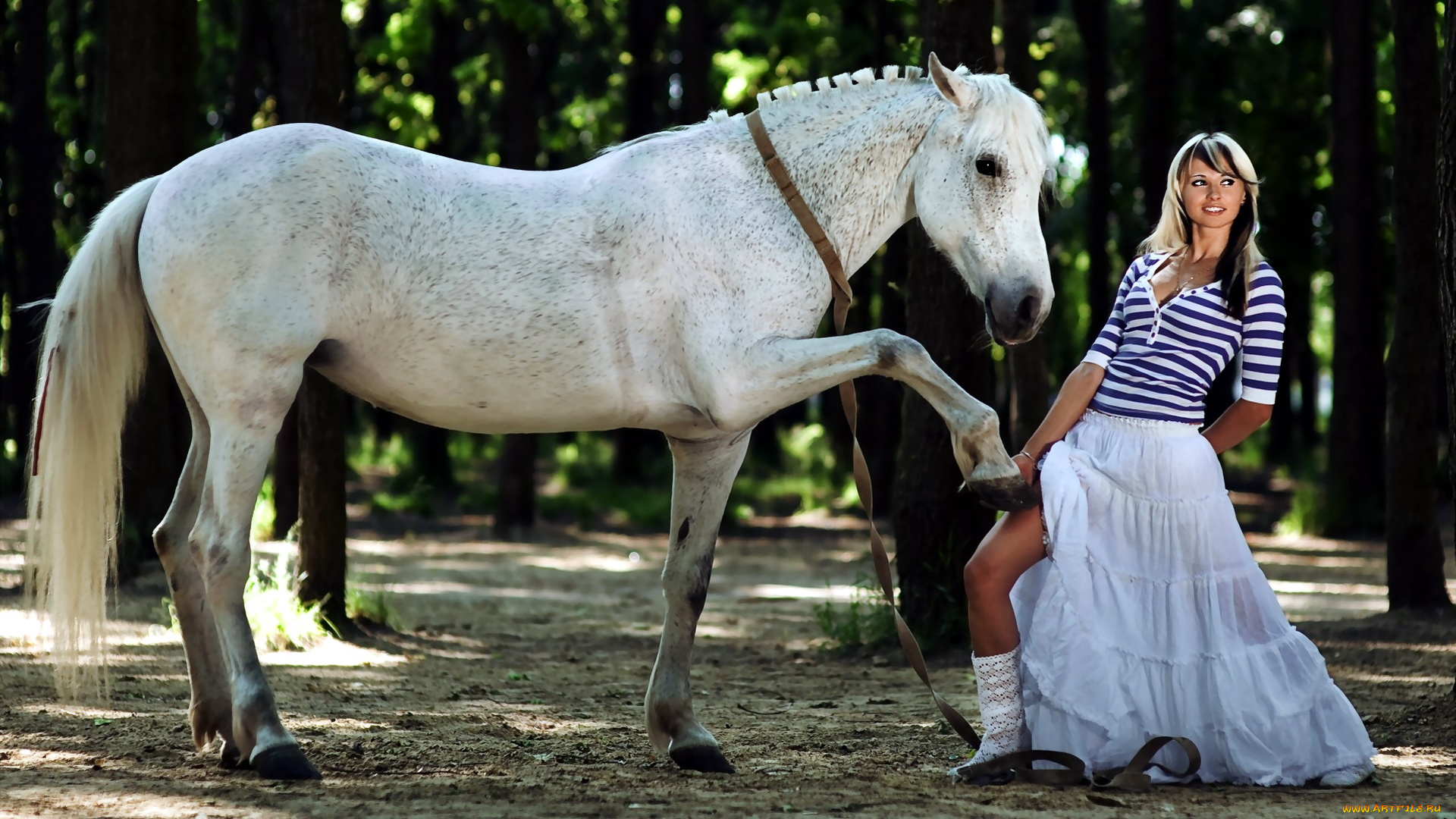 девушки, -, блондинки, , светловолосые, конь, блондинка, юбка, роща