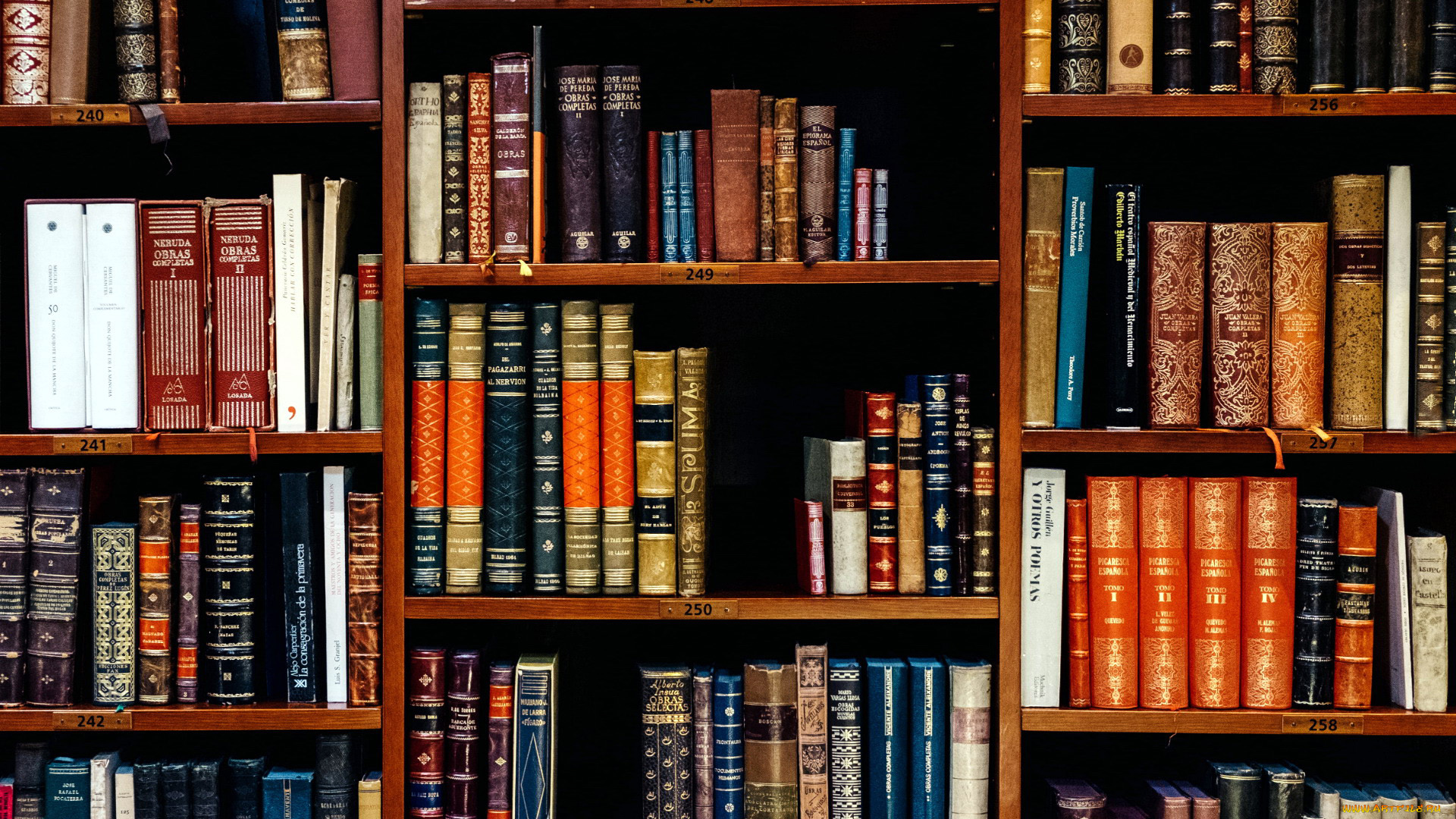 разное, канцелярия, , книги, полки, книжные, книги, литература