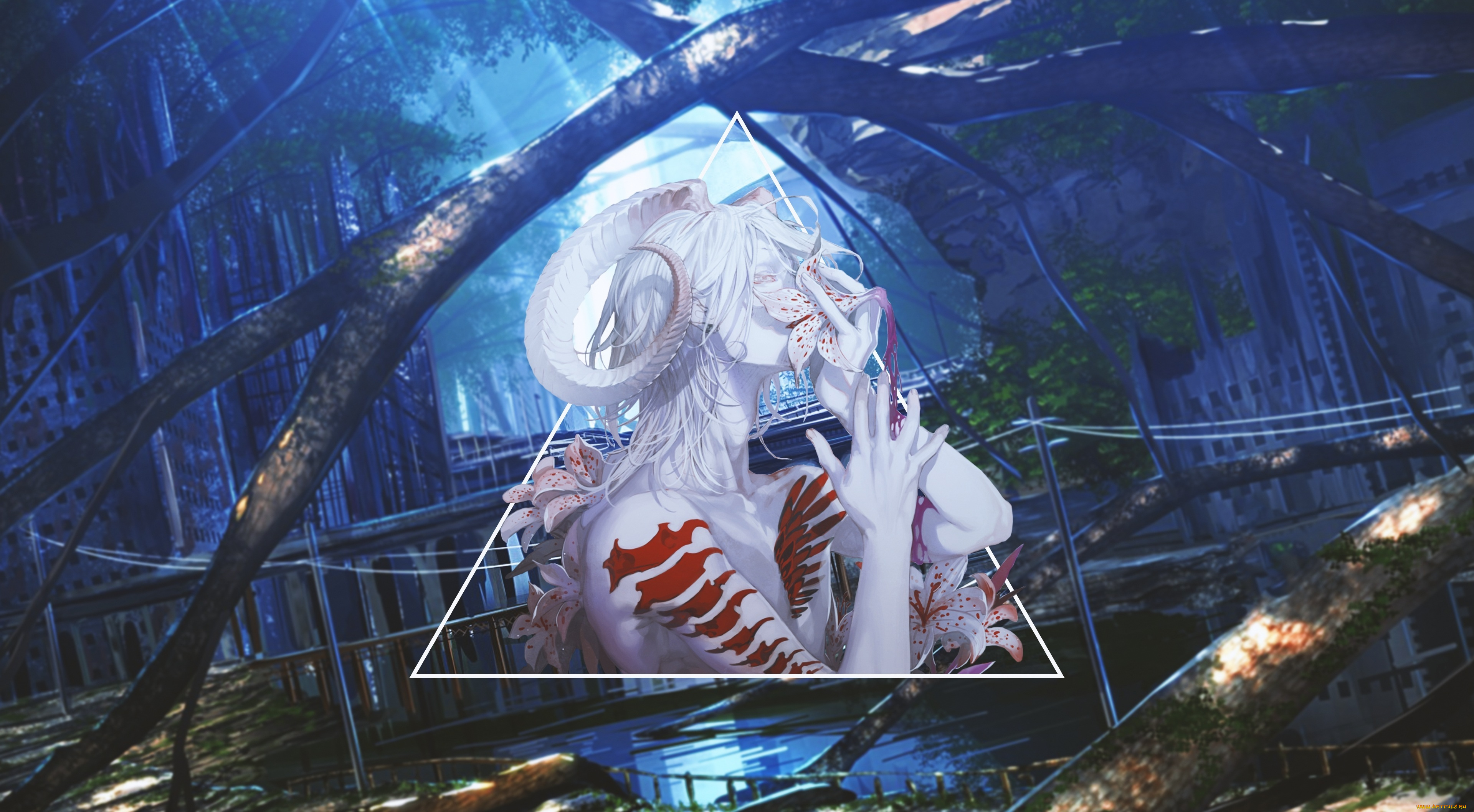 аниме, , gray-man, ди, грей-мен