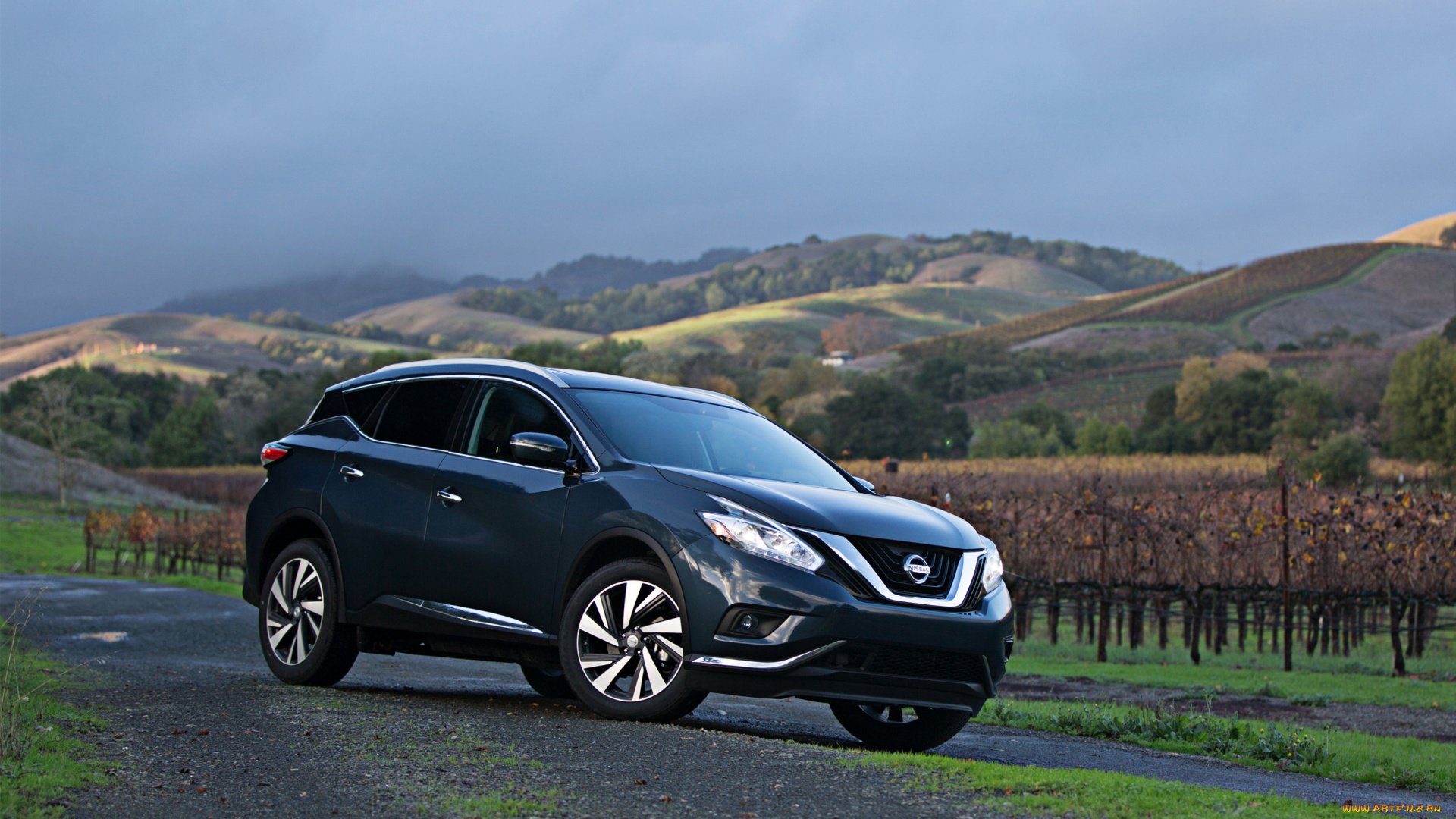 автомобили, nissan, datsun