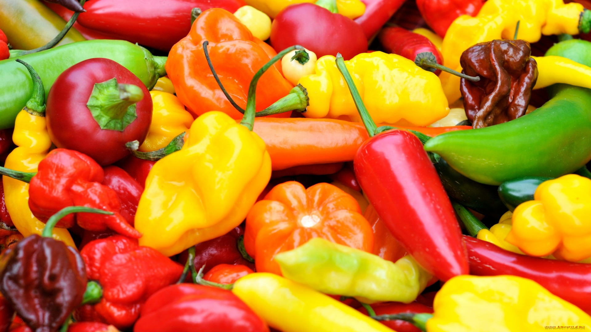 еда, перец, разноцветный, стручки