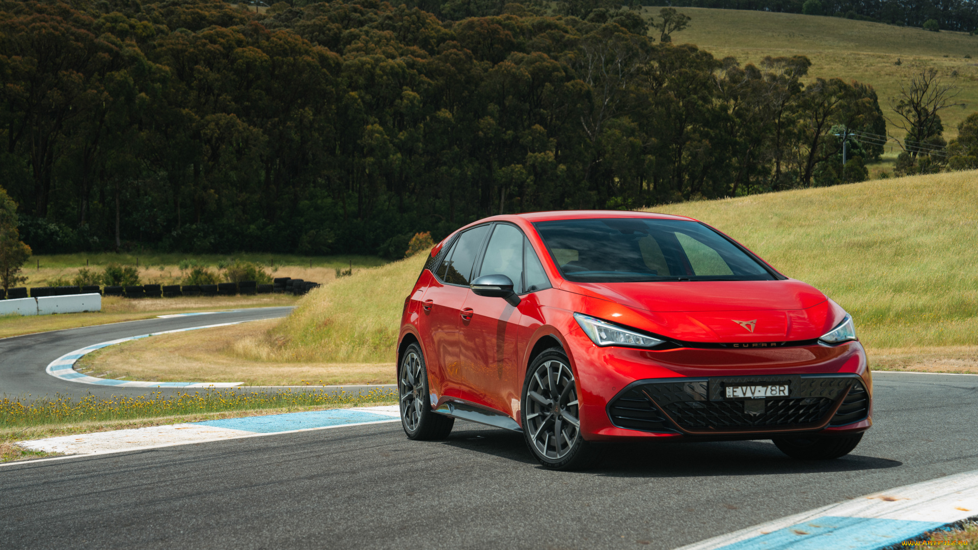 автомобили, cupra