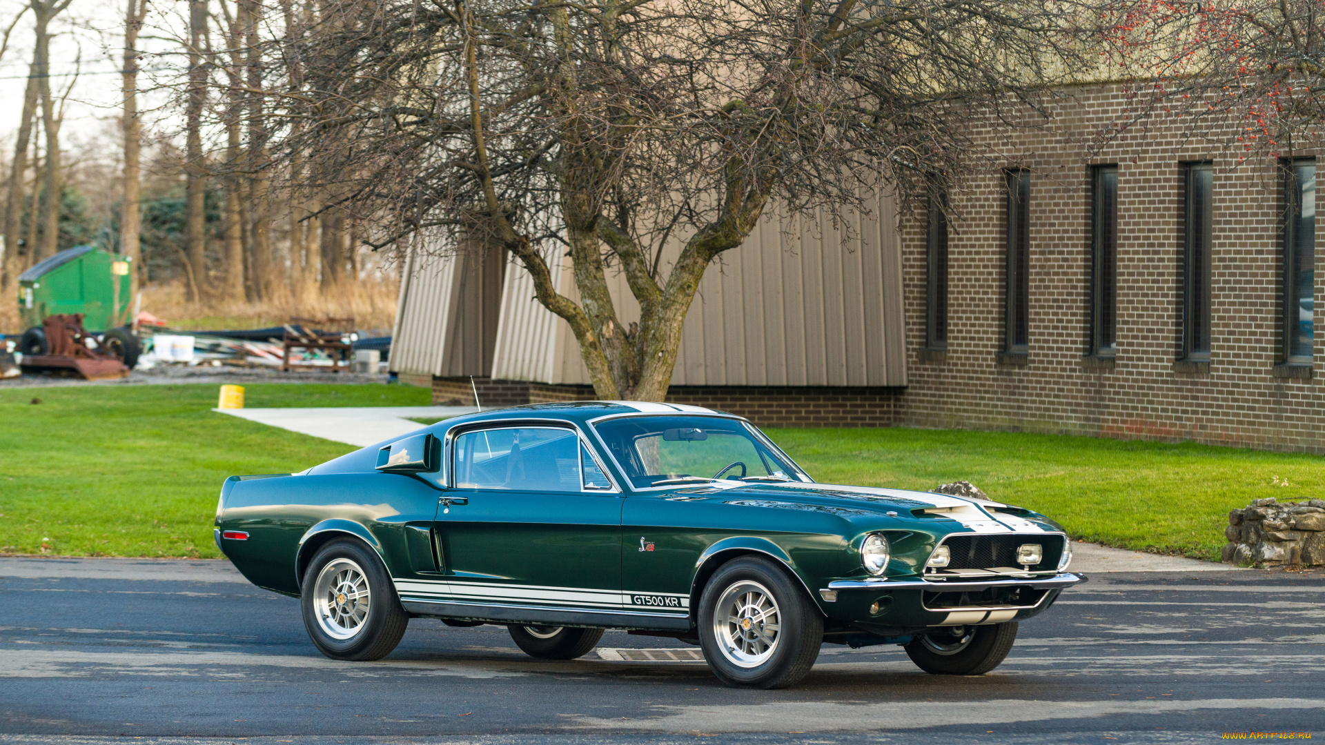 автомобили, mustang, gt500