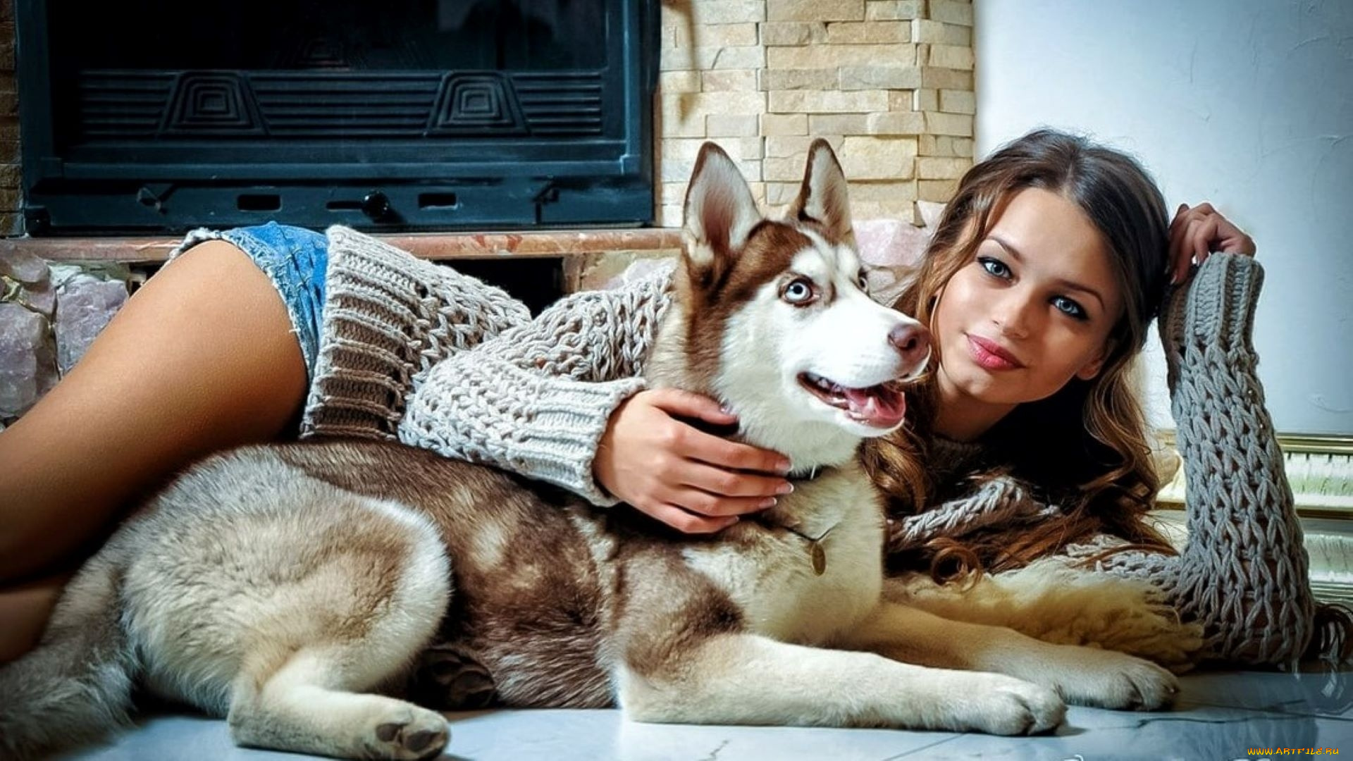 девушки, любовь, гуляк, камин, свитер, шорты, поза, собака