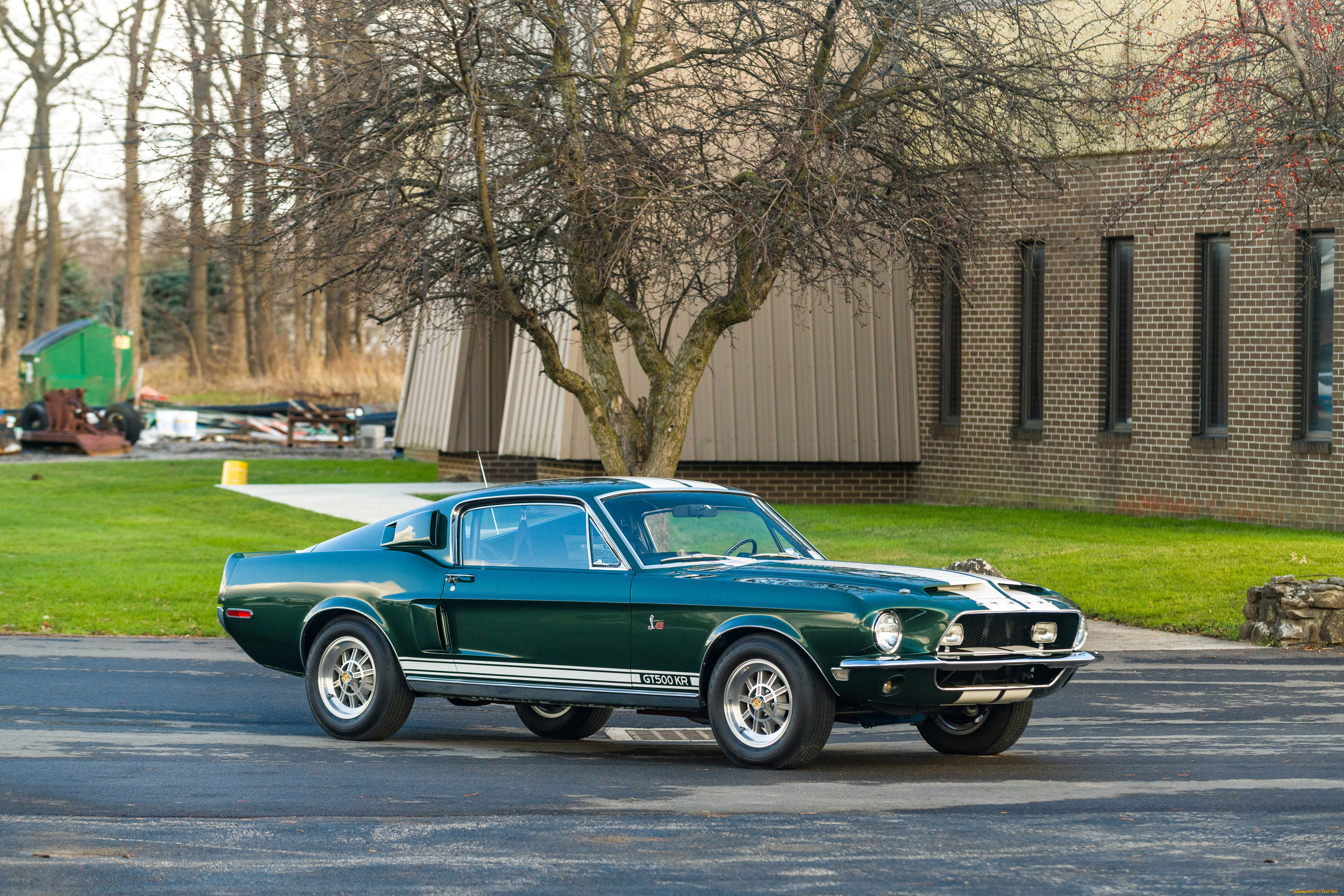 автомобили, mustang, gt500