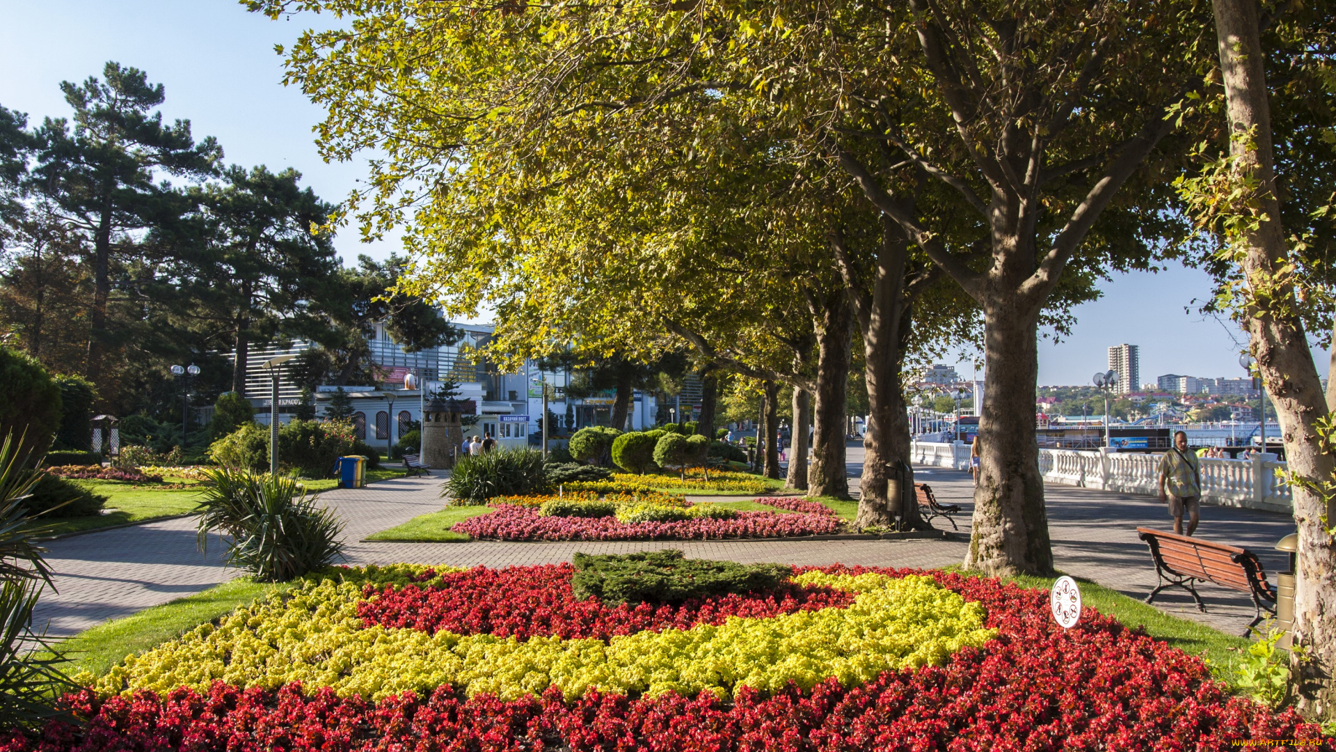 города, -, улицы, , площади, , набережные, геленджик, россия, парк, бегония, красoта