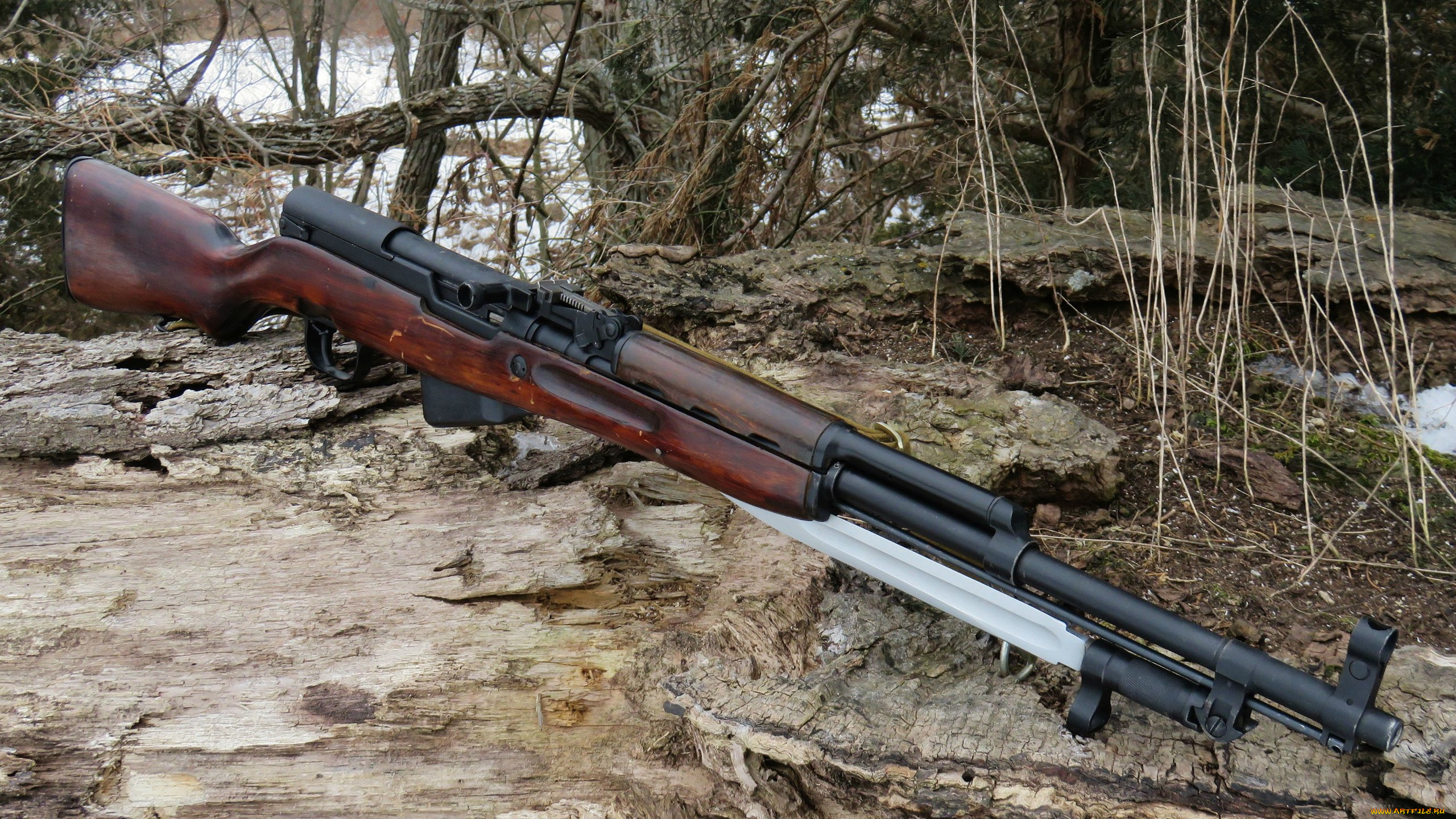 скс-45, оружие, ружья, мушкеты, винчестеры, советский, скс, карабин, cамозарядный, cимонова, конструктoр, cергей, симонов