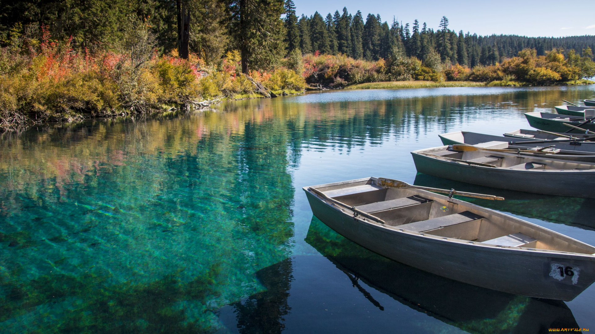 корабли, лодки, , шлюпки, река, лес, отражение