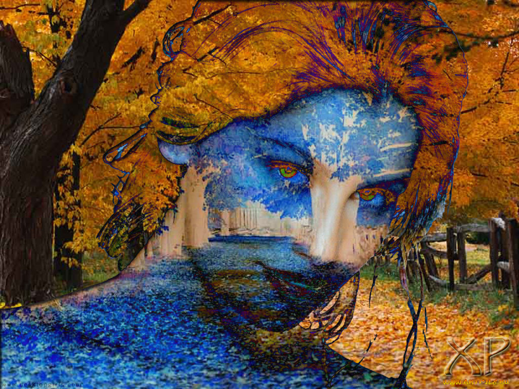 компьютеры, windows, xp