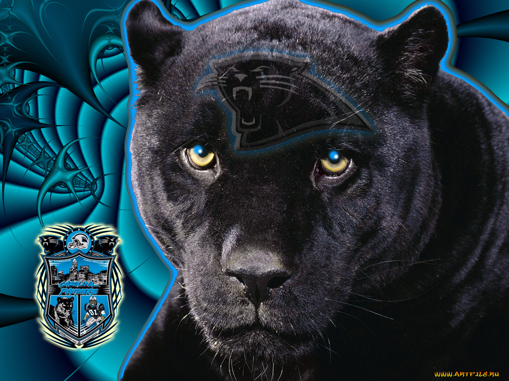 спорт, 3d, рисованные