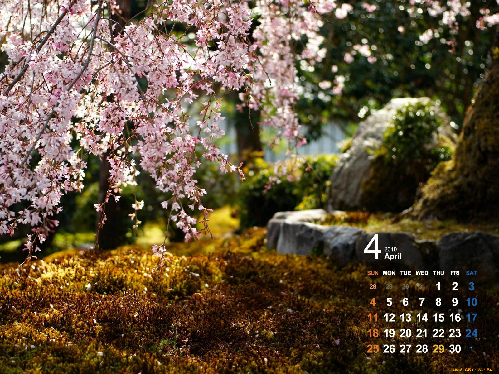 календари, природа