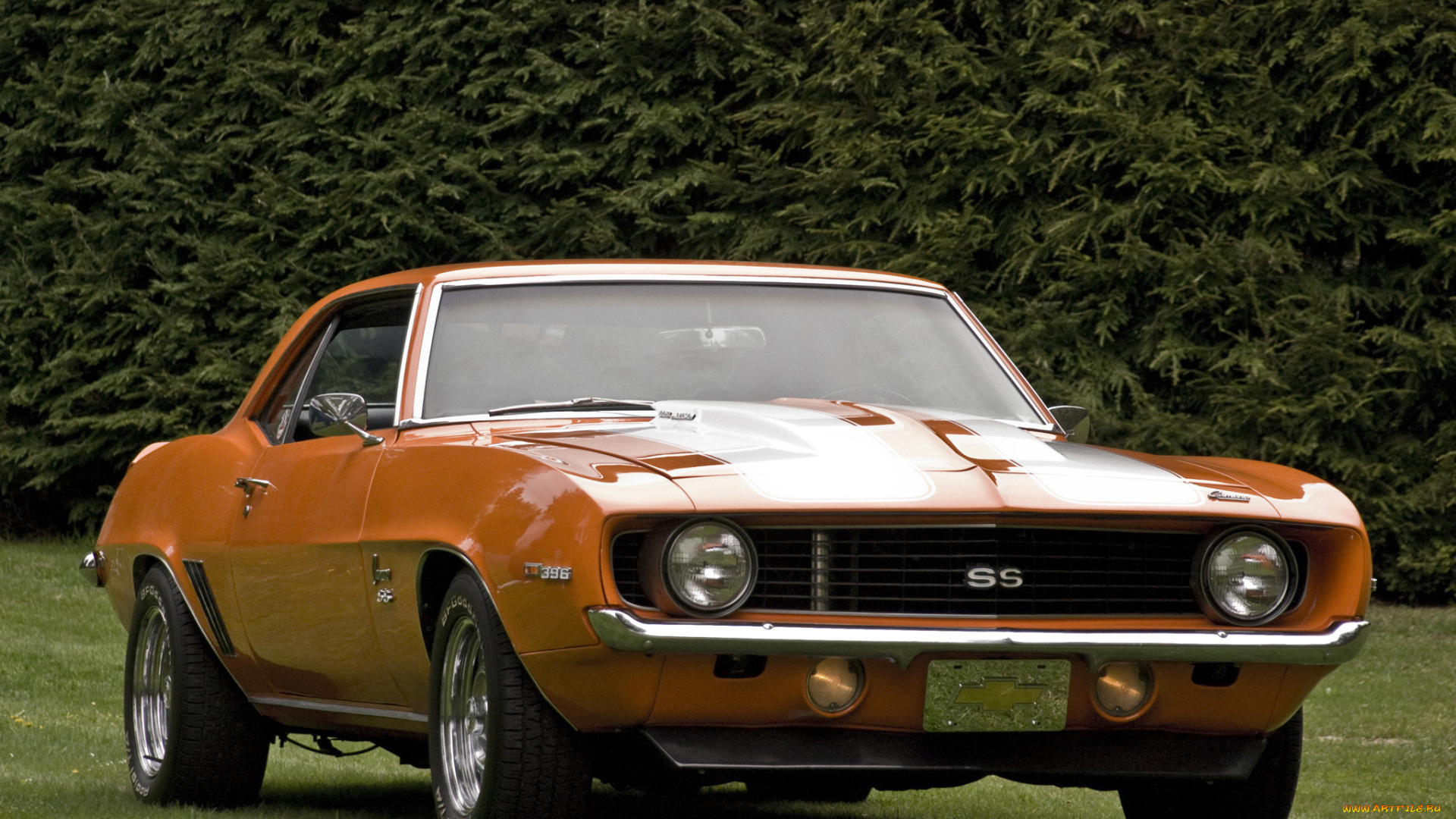 автомобили, camaro