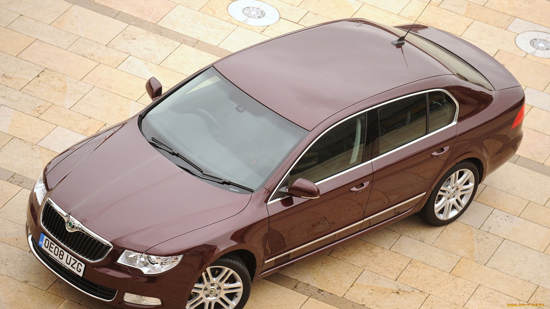 автомобили, skoda, superb