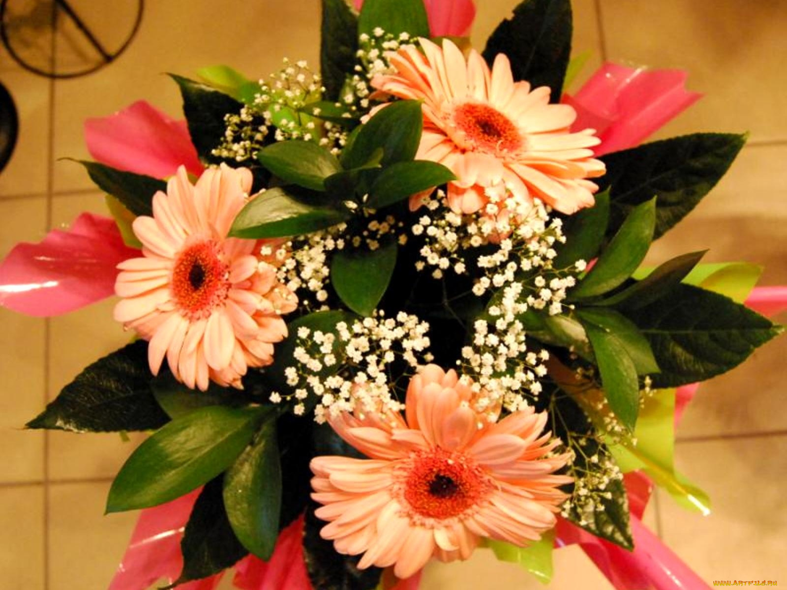 цветы, букеты, композиции, гипсофила, герберы, зелень