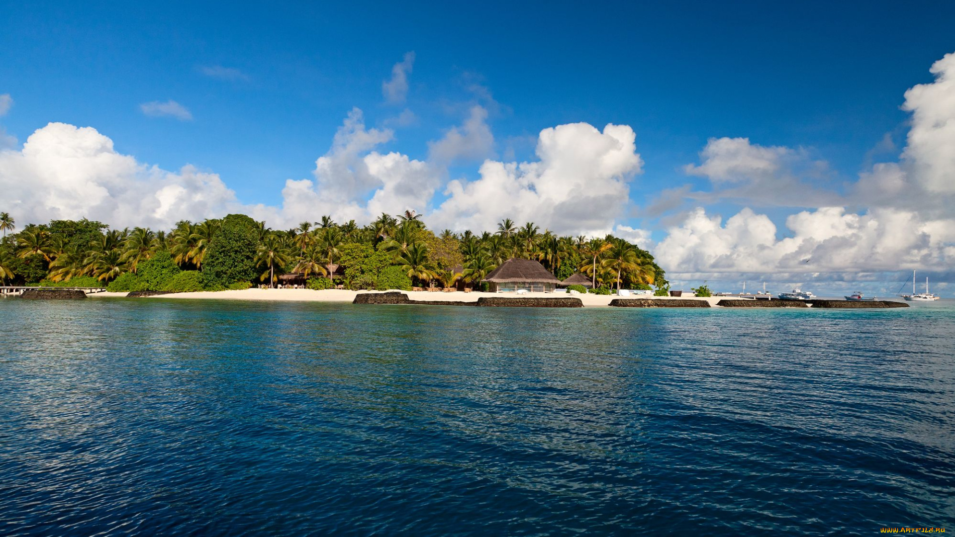 kuramathi, island, природа, тропики, мальдивы