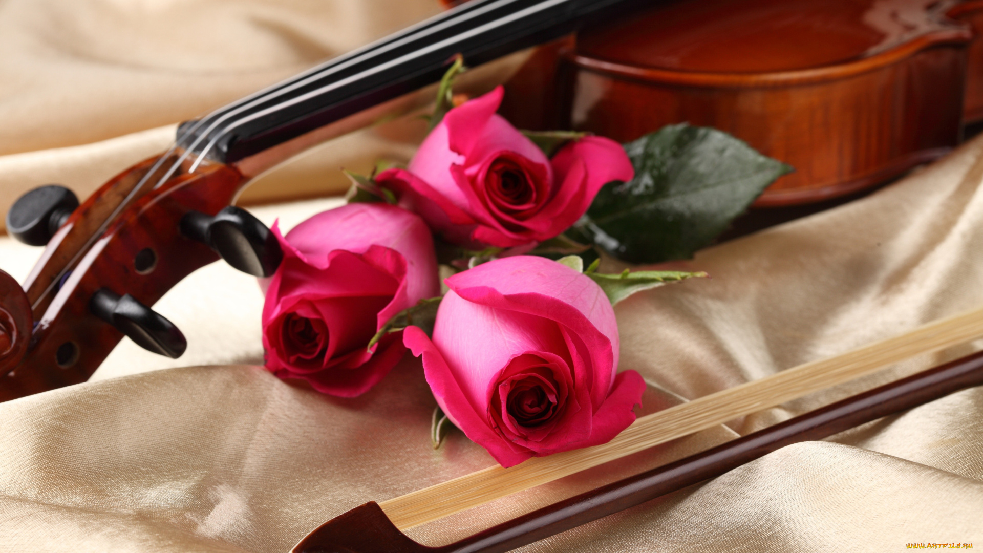 музыка, музыкальные, инструменты, скрипка, смычок, розы
