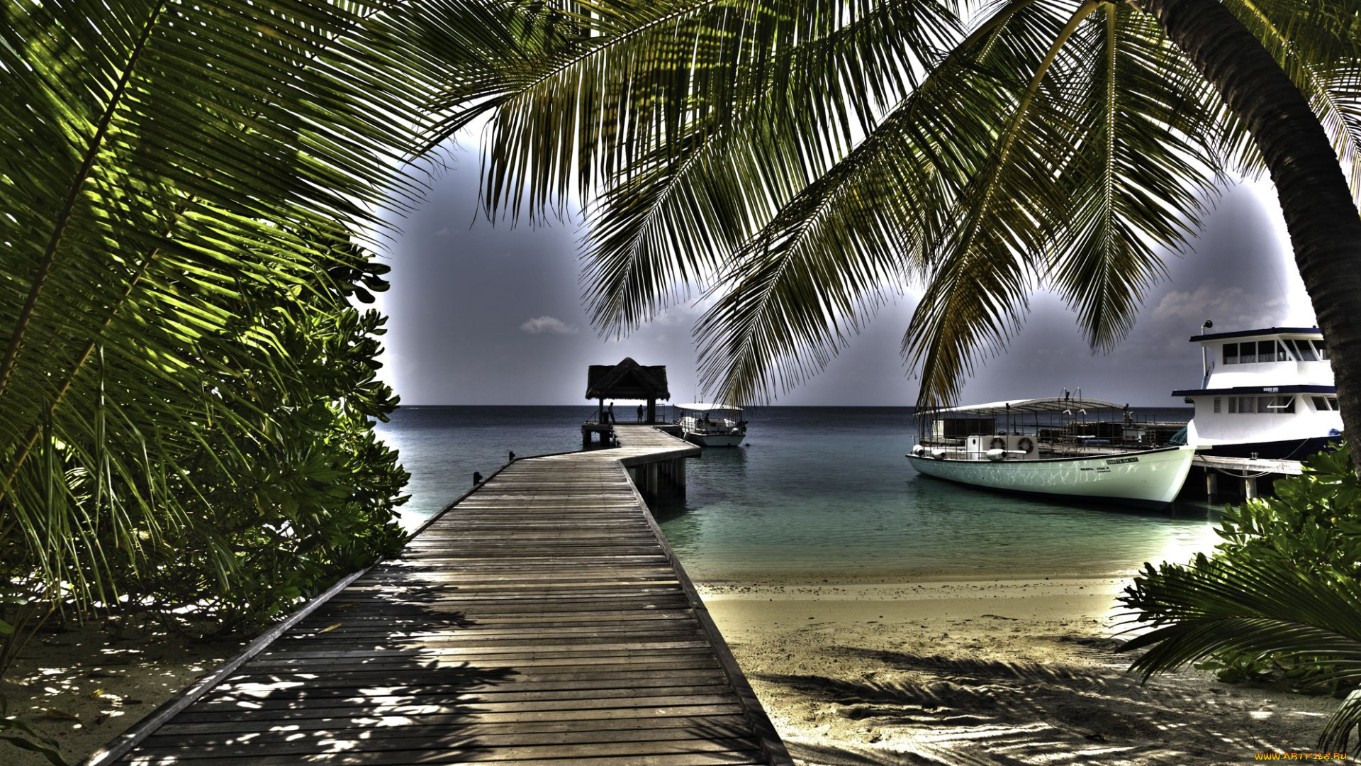 природа, тропики, мальдивы