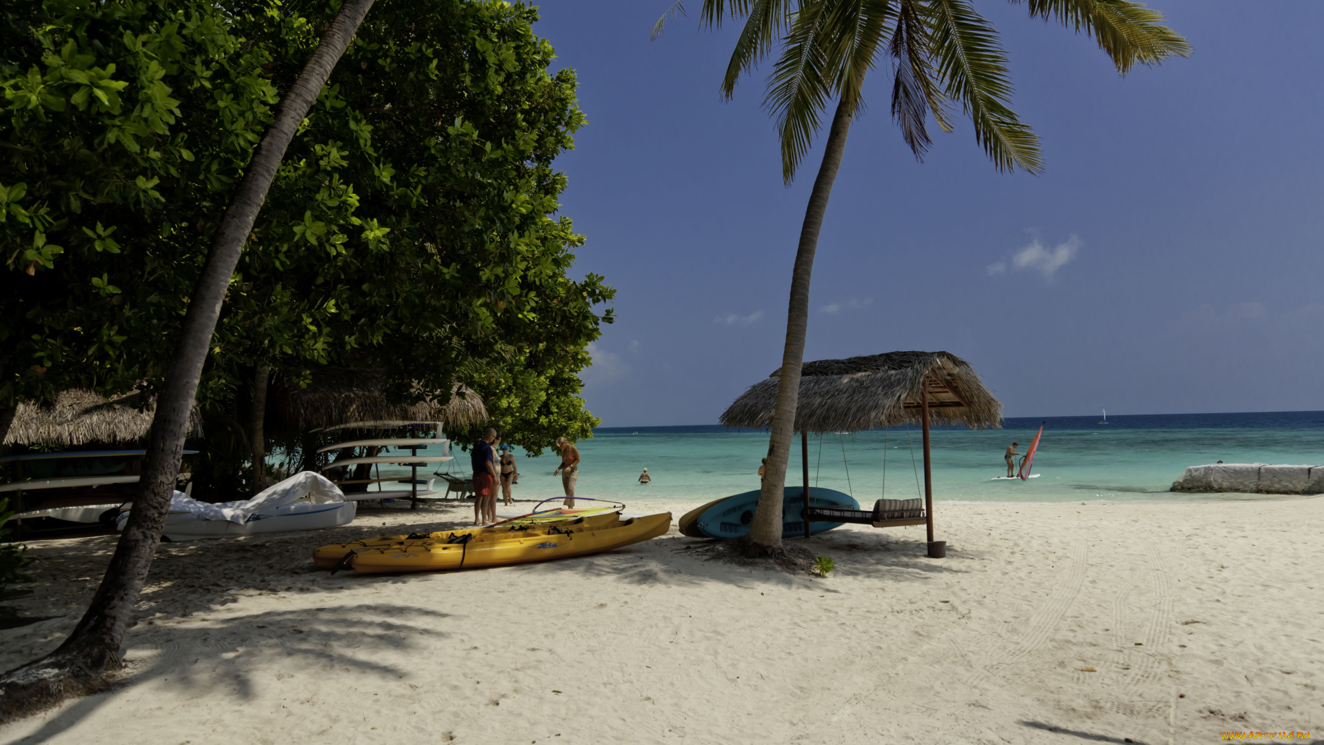 природа, тропики, мальдивы