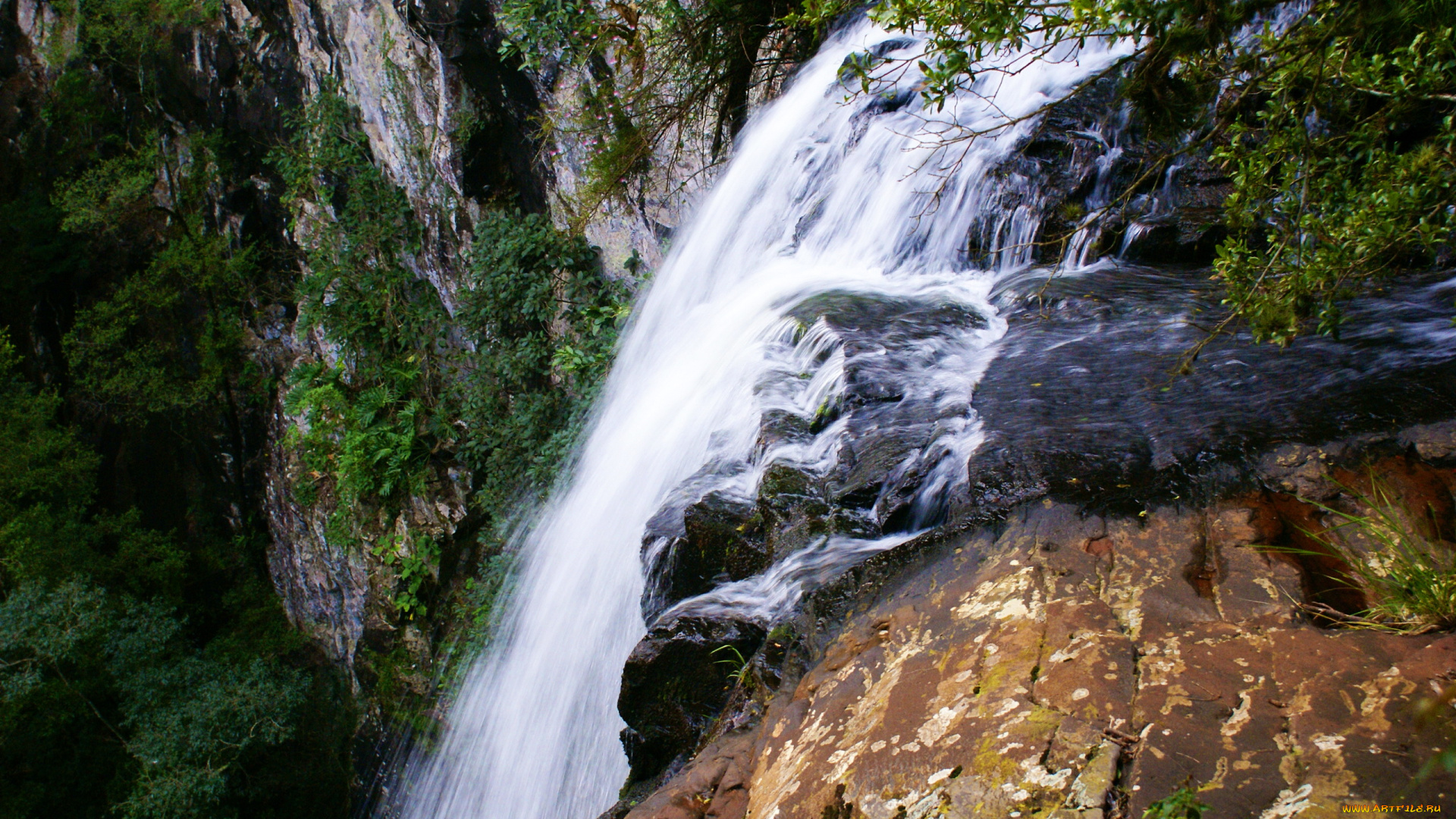 природа, водопады, водопад, кустарник, обрыв