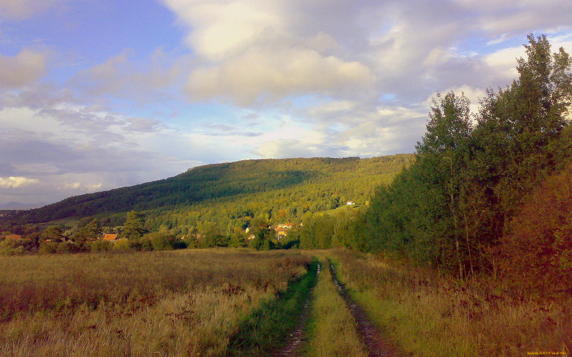 природа, дороги, дорога, деревня, поле, лес, деревья