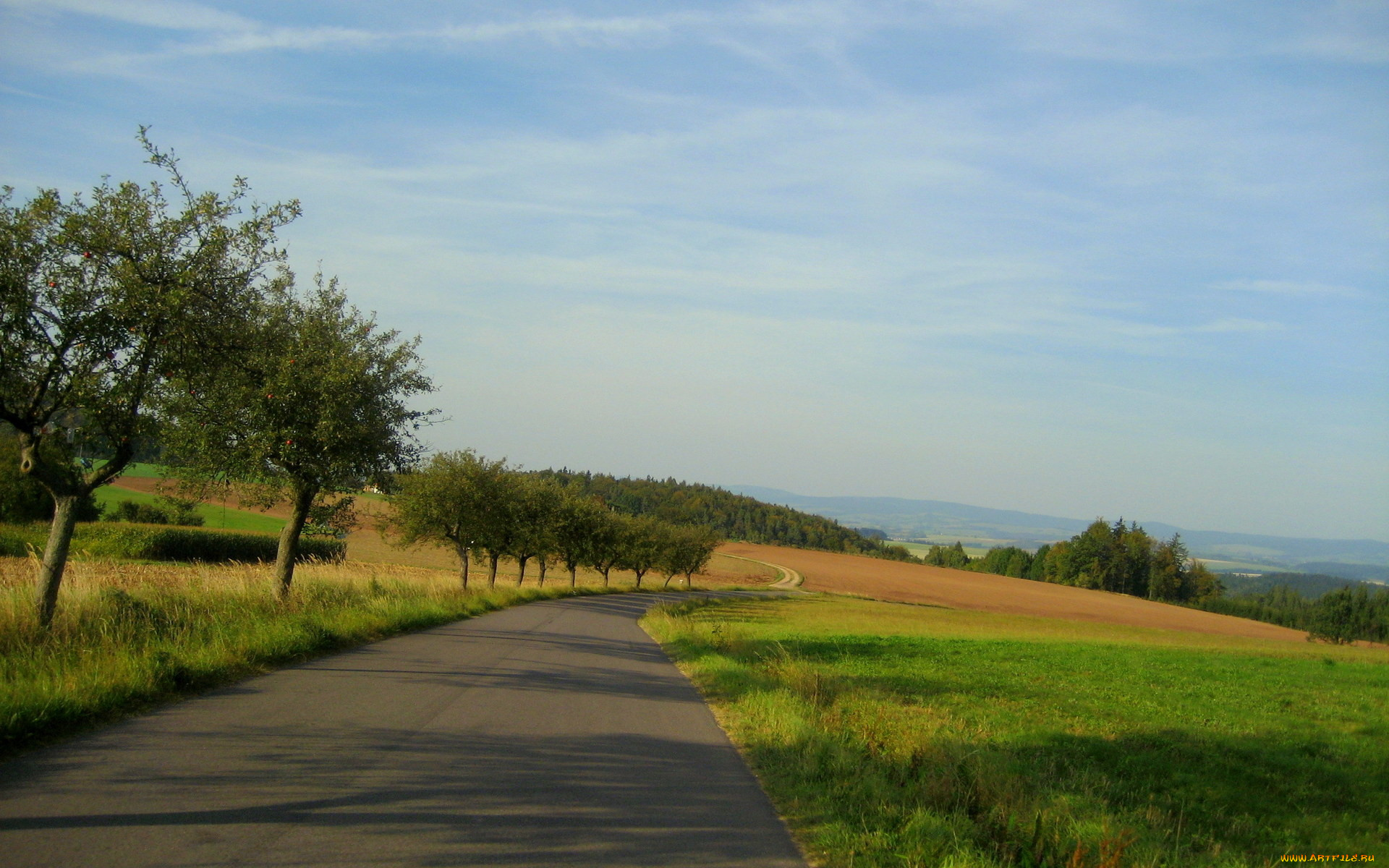 природа, дороги, дорога, деревья, поля