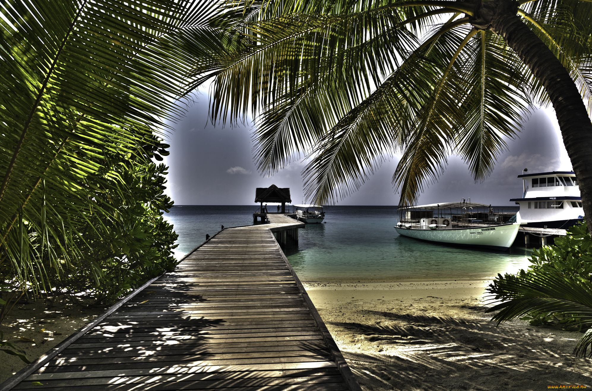 природа, тропики, мальдивы