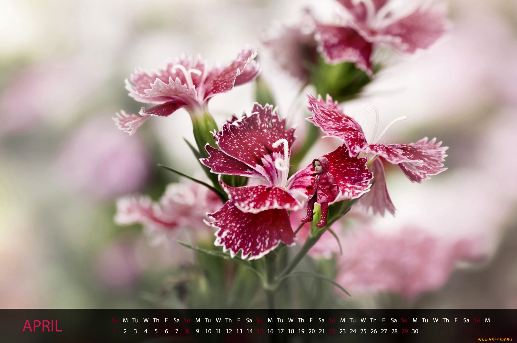 календари, дети, ребенок, фотошоп, малыш, гвоздики