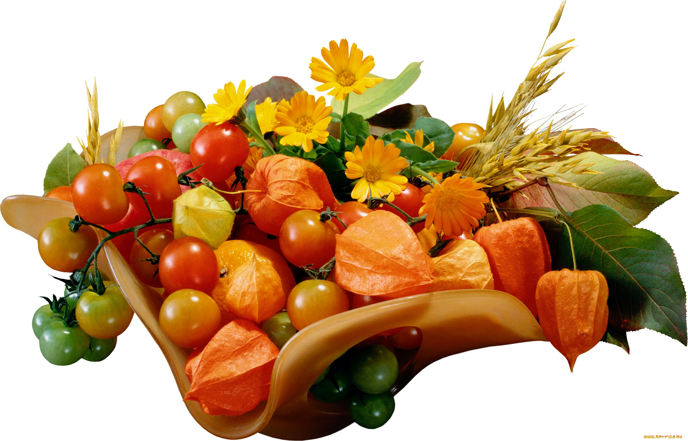 еда, помидоры, календула, физалис