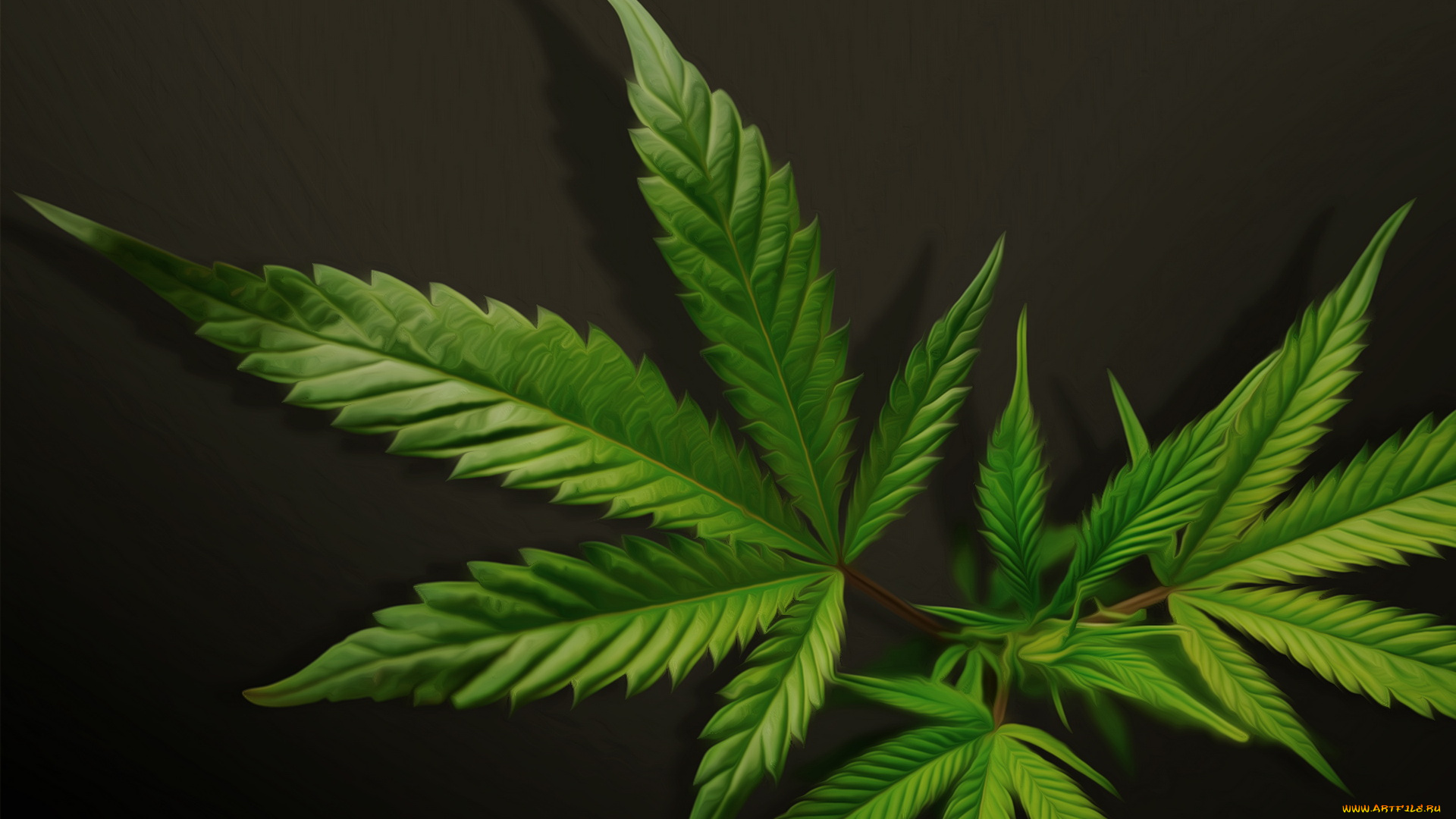 3д, графика, nature, landscape, природа, конопля, листья