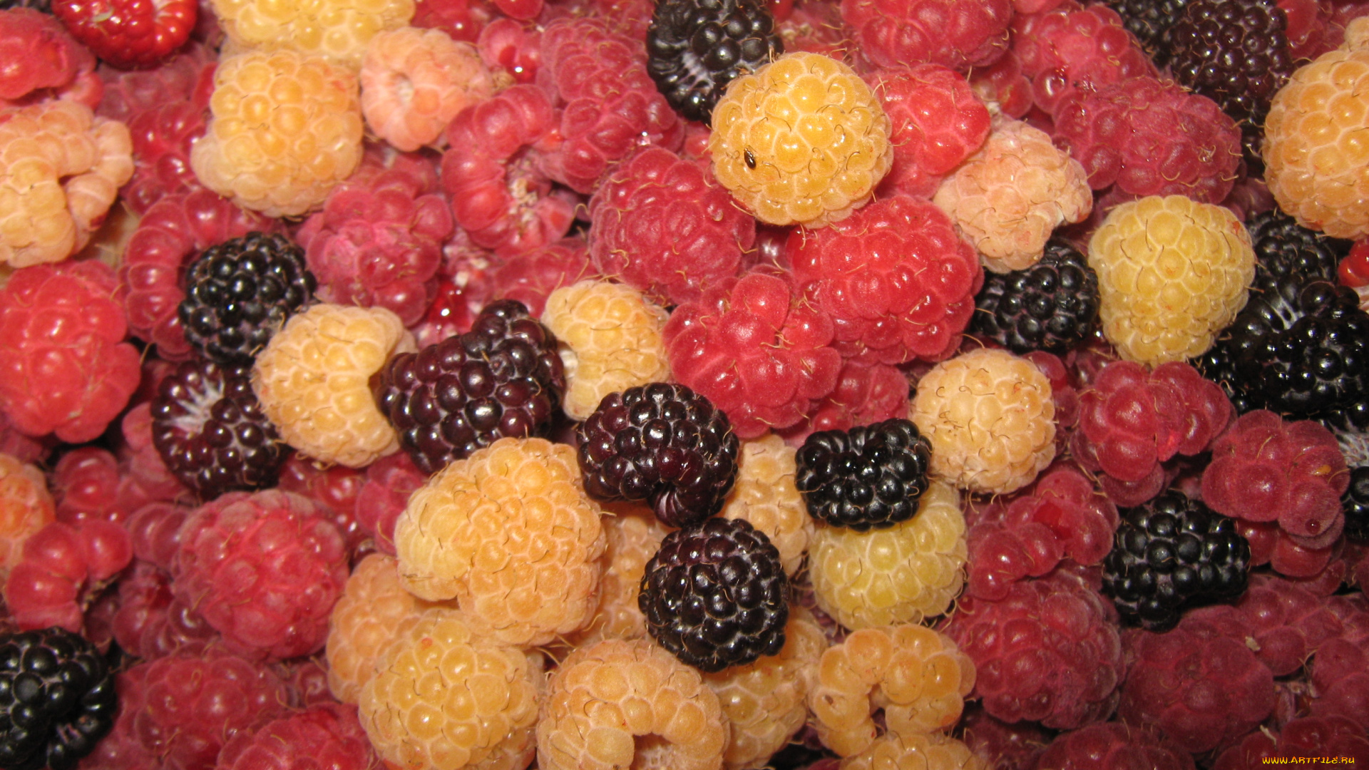 еда, малина, ягоды, витамины
