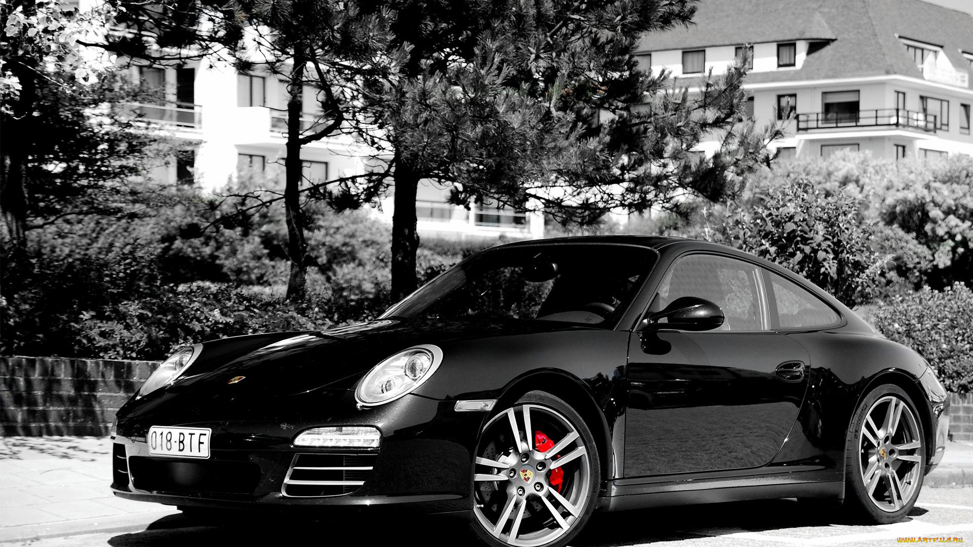 porsche, 911, carrera, автомобили, элитные, спортивные, германия